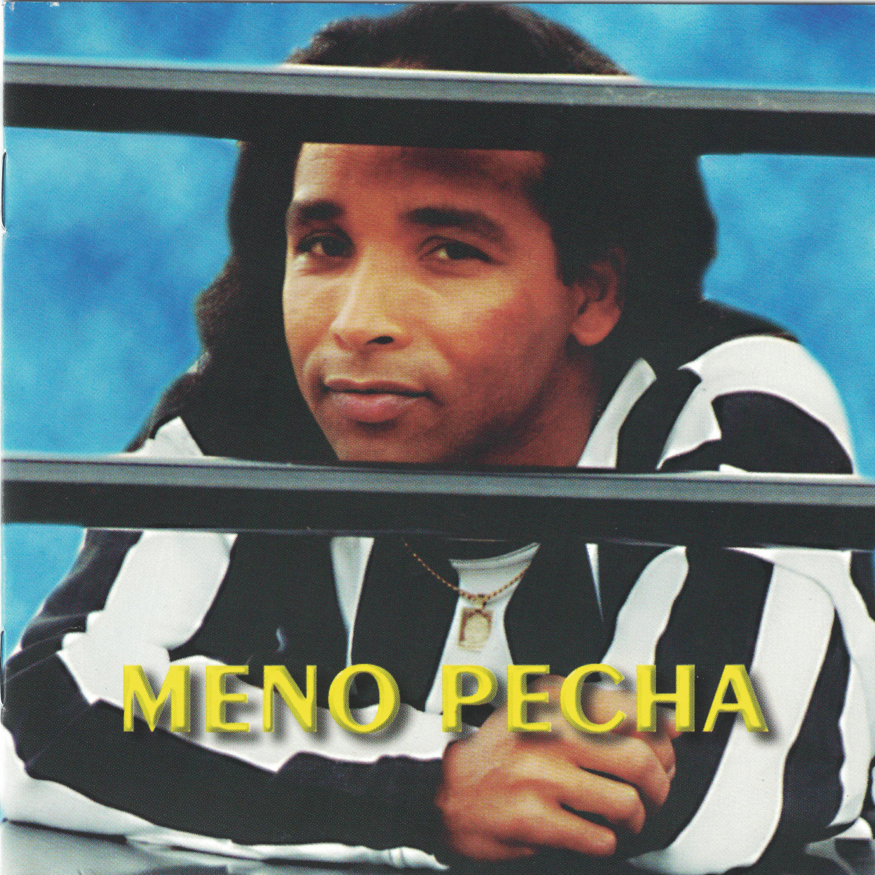 Релиз Pilon Pilon