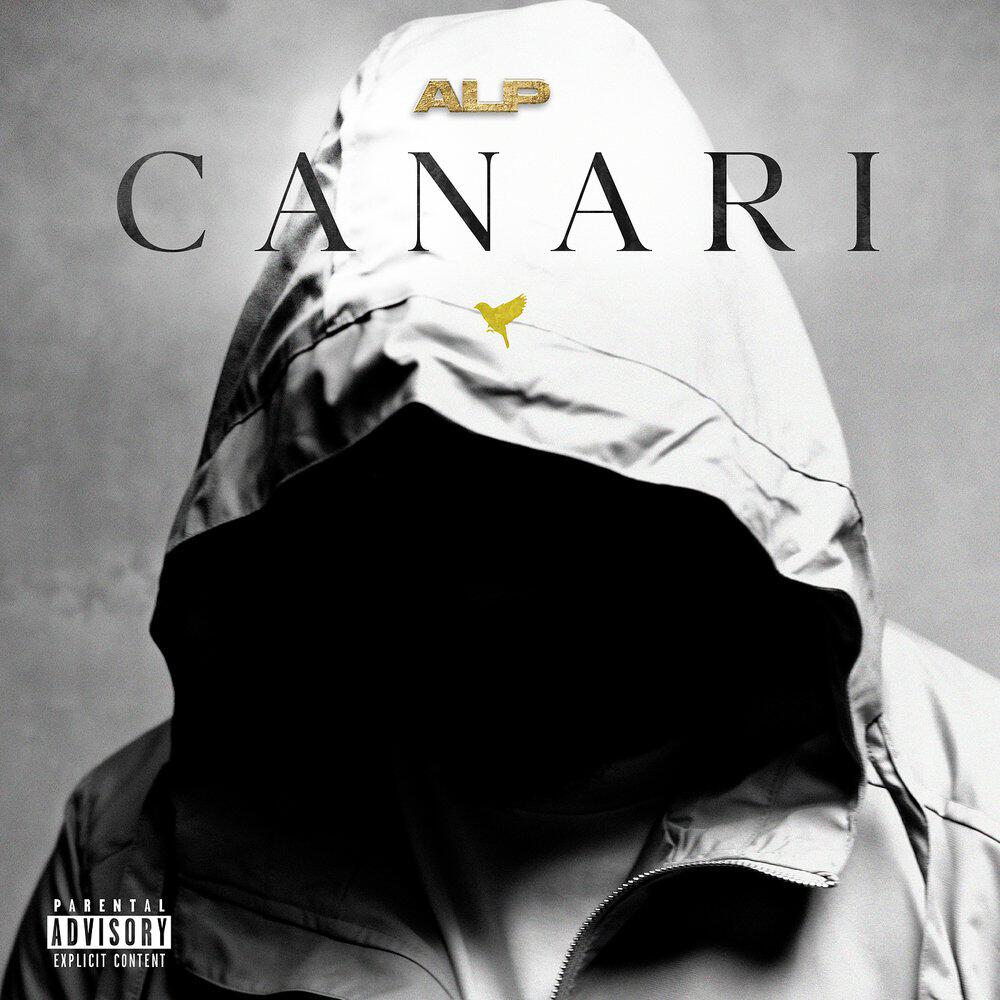 Релиз Canari