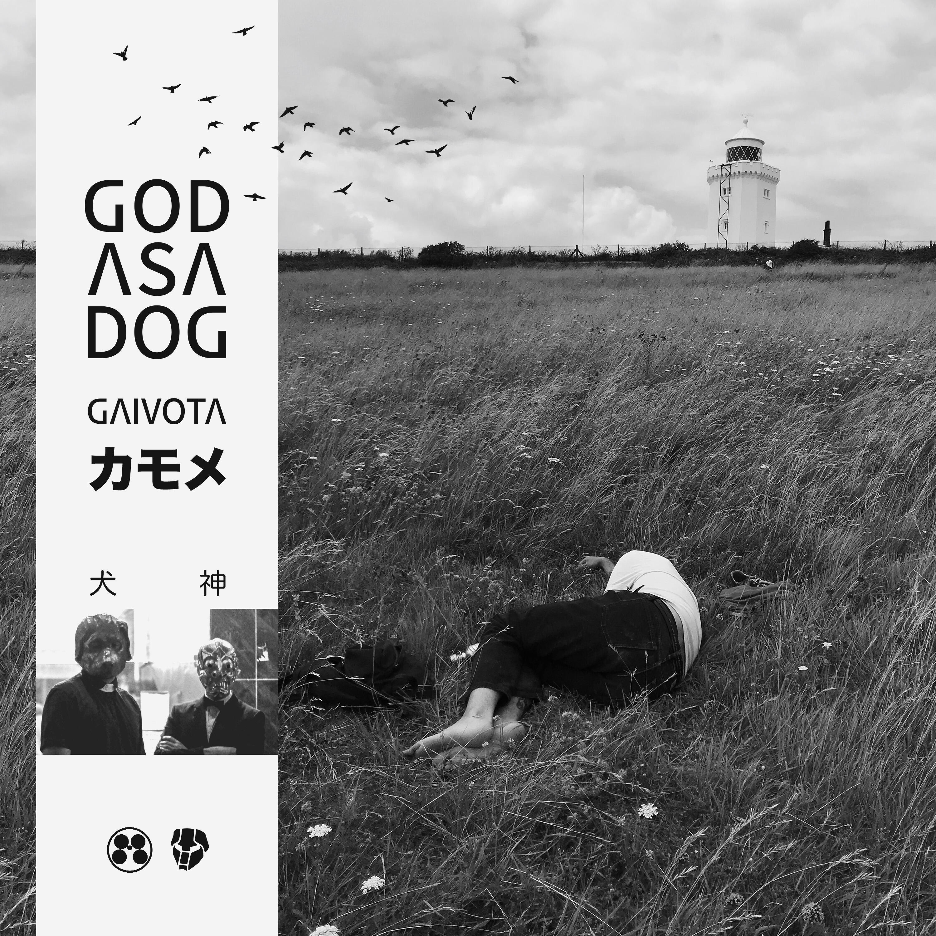 Релиз Gaivota