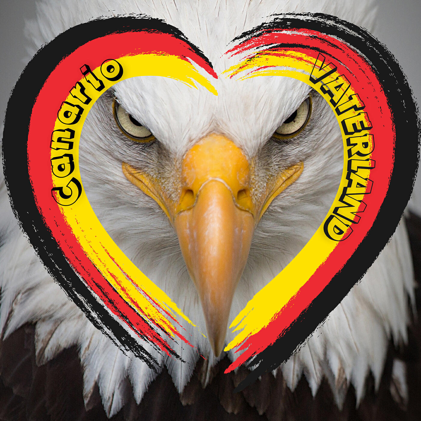 Релиз Vaterland