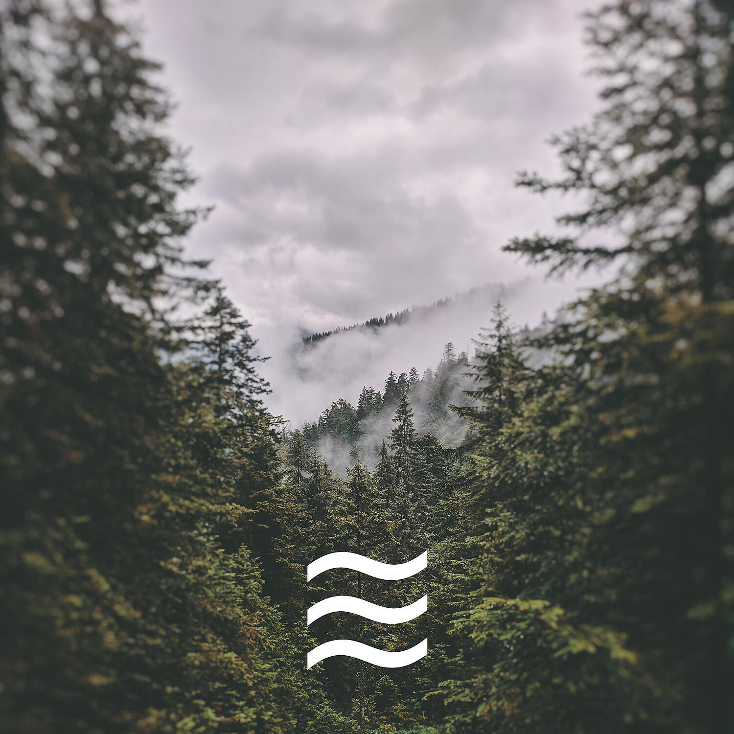 Cosy Sleepful Rain