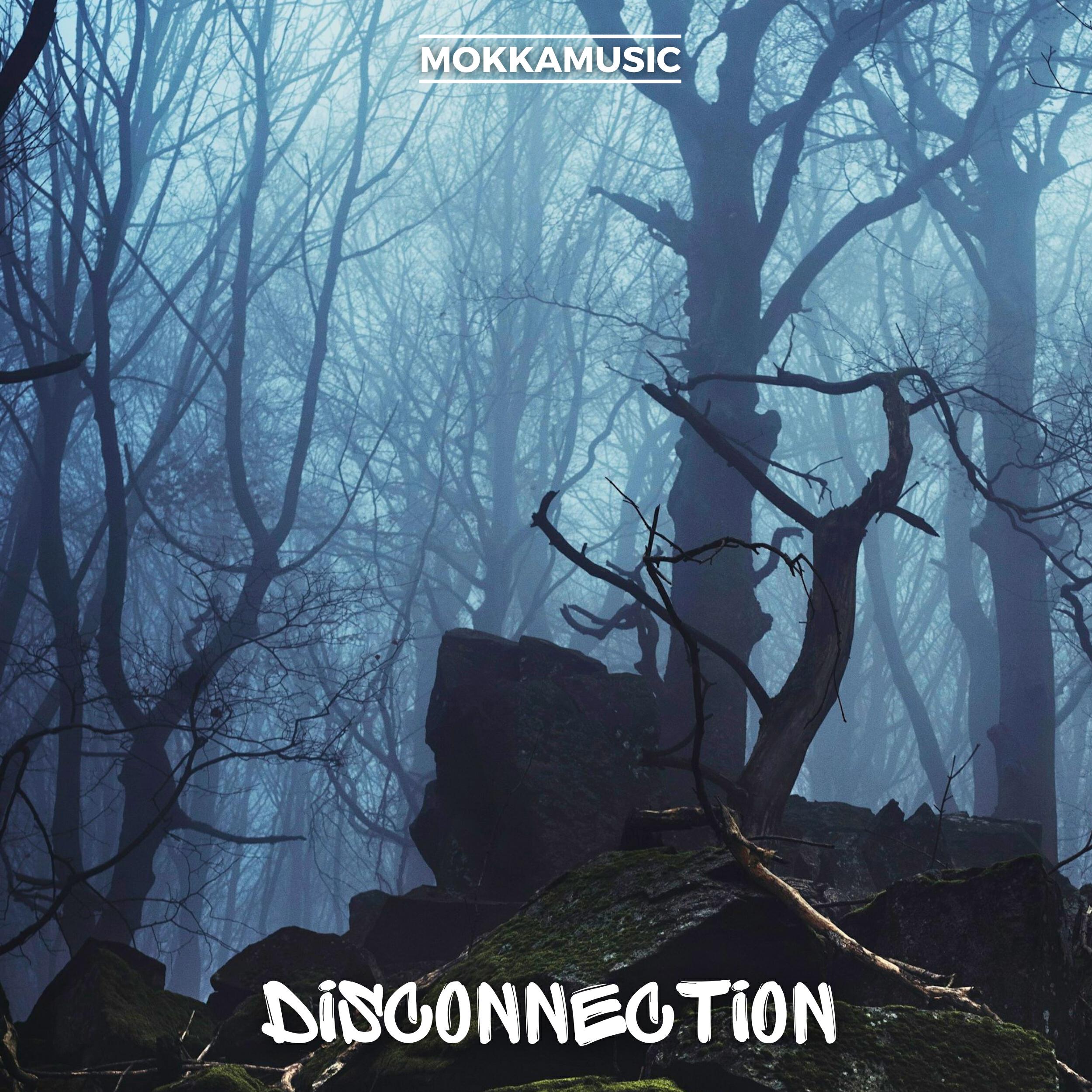 Релиз Disconnection