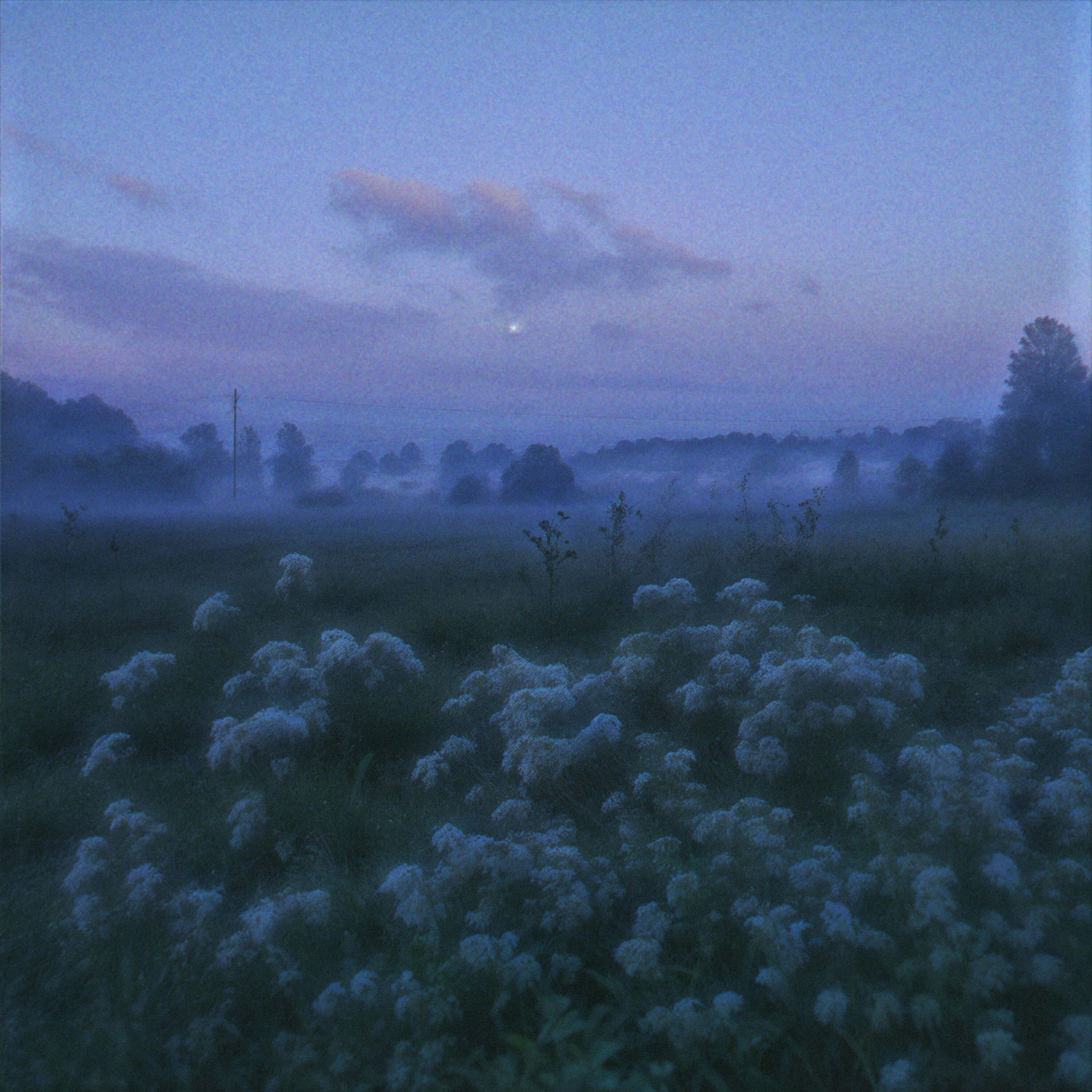 Релиз lost in haze