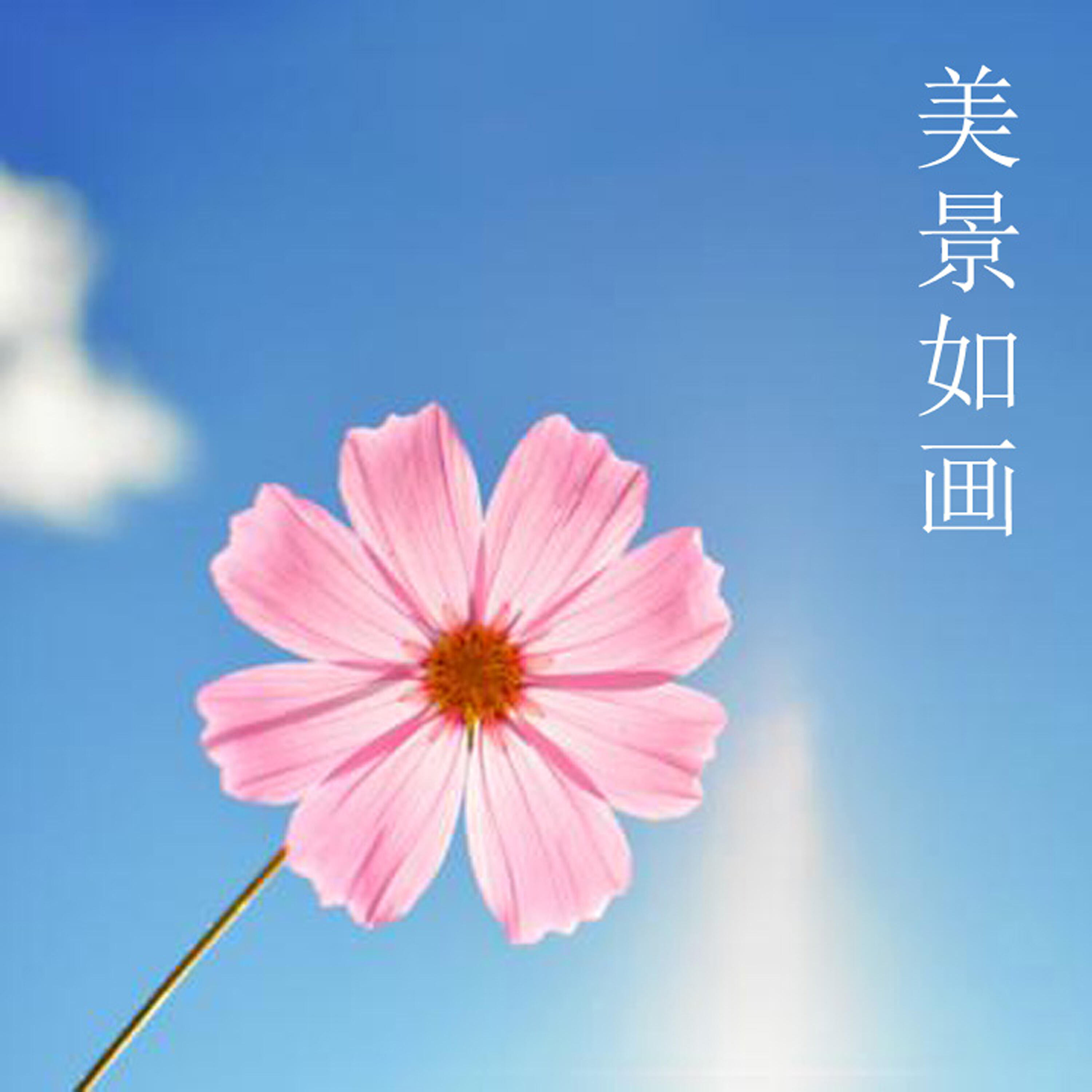 Релиз 美景如画