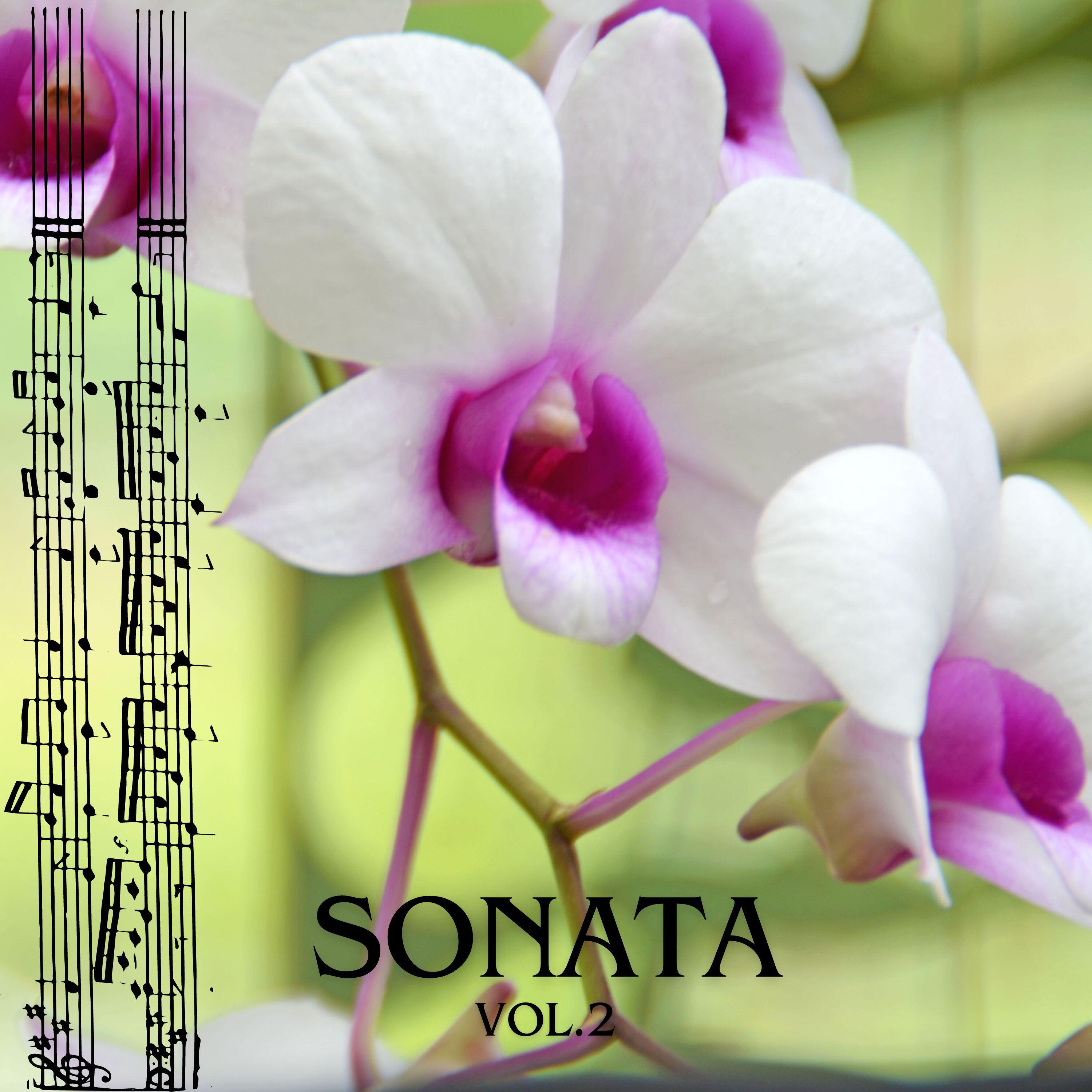 Релиз Sonata vol.2 (Remastered 2017)