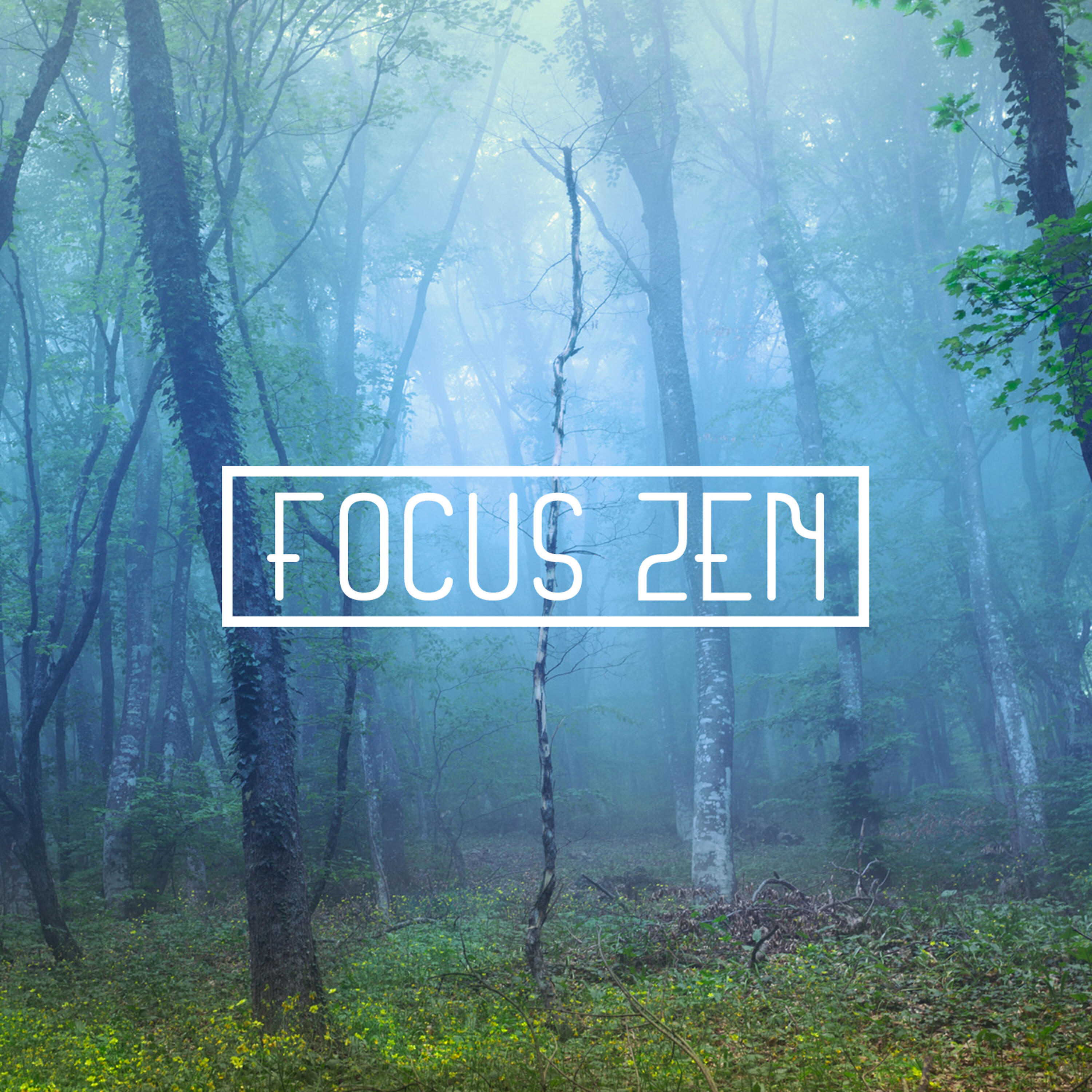 Focus Zen