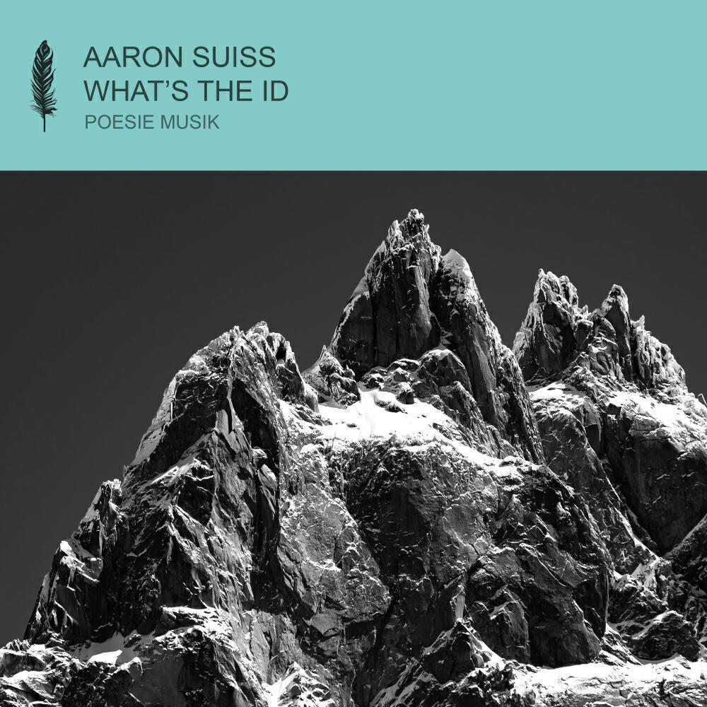 Скачать песню Aaron Suiss, Jay Perlestein - What's The Meaning бесплатно в MP3 для Android и iOS