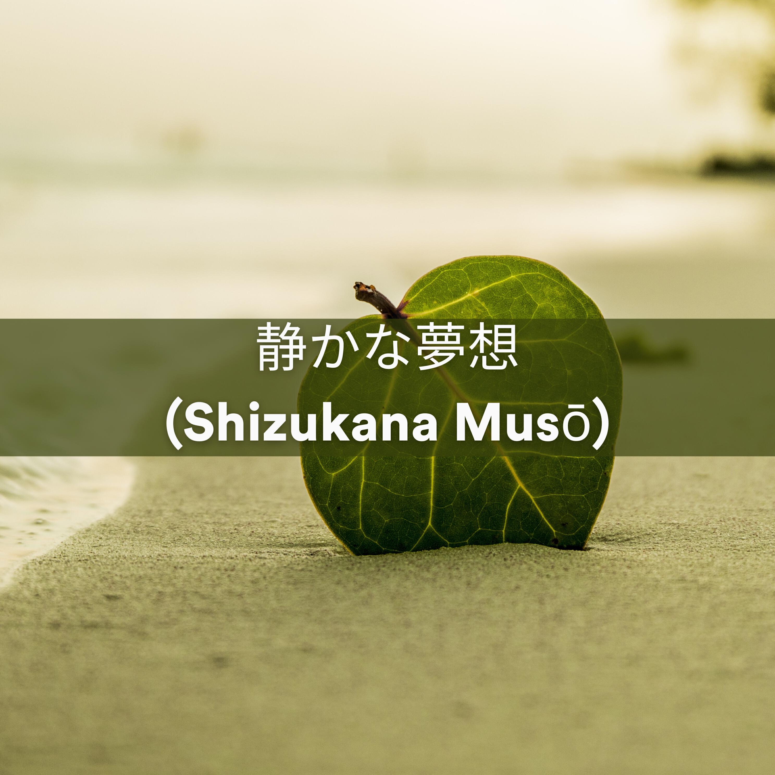 Релиз 静かな夢想 (Shizukana Musō)