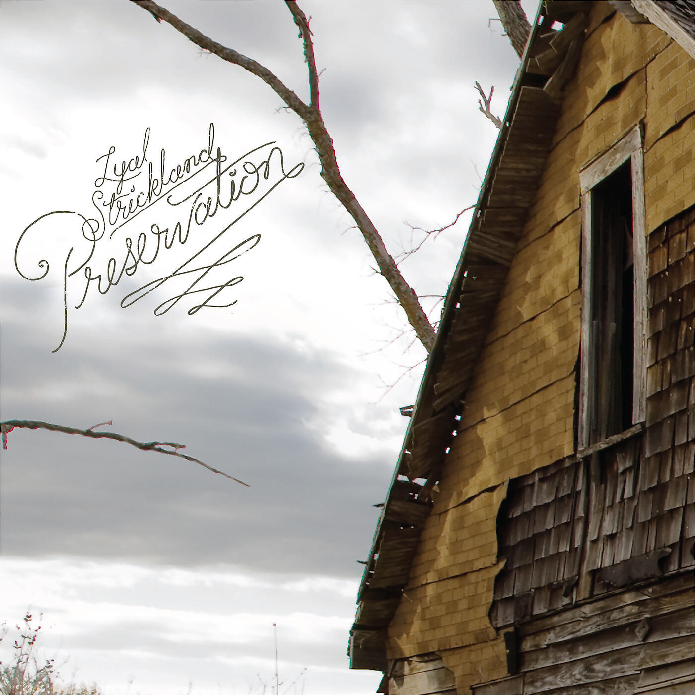 Релиз Preservation