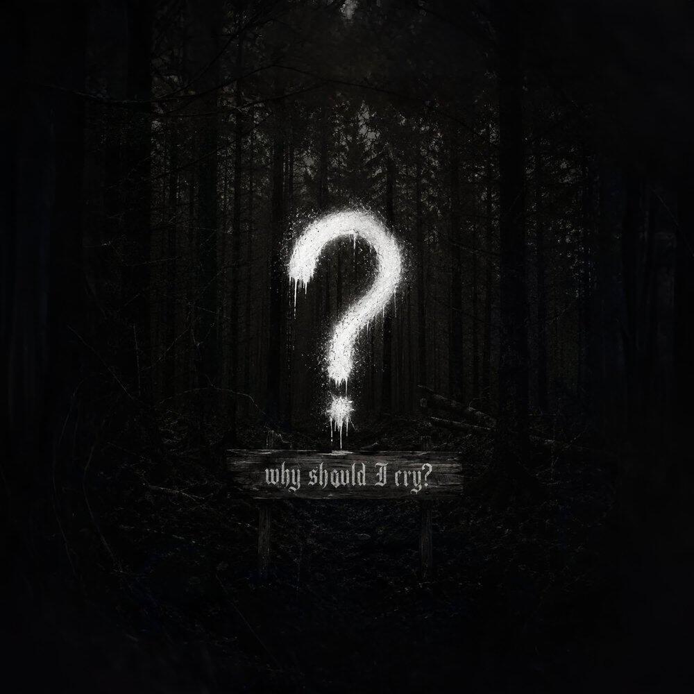 Релиз why should i cry?