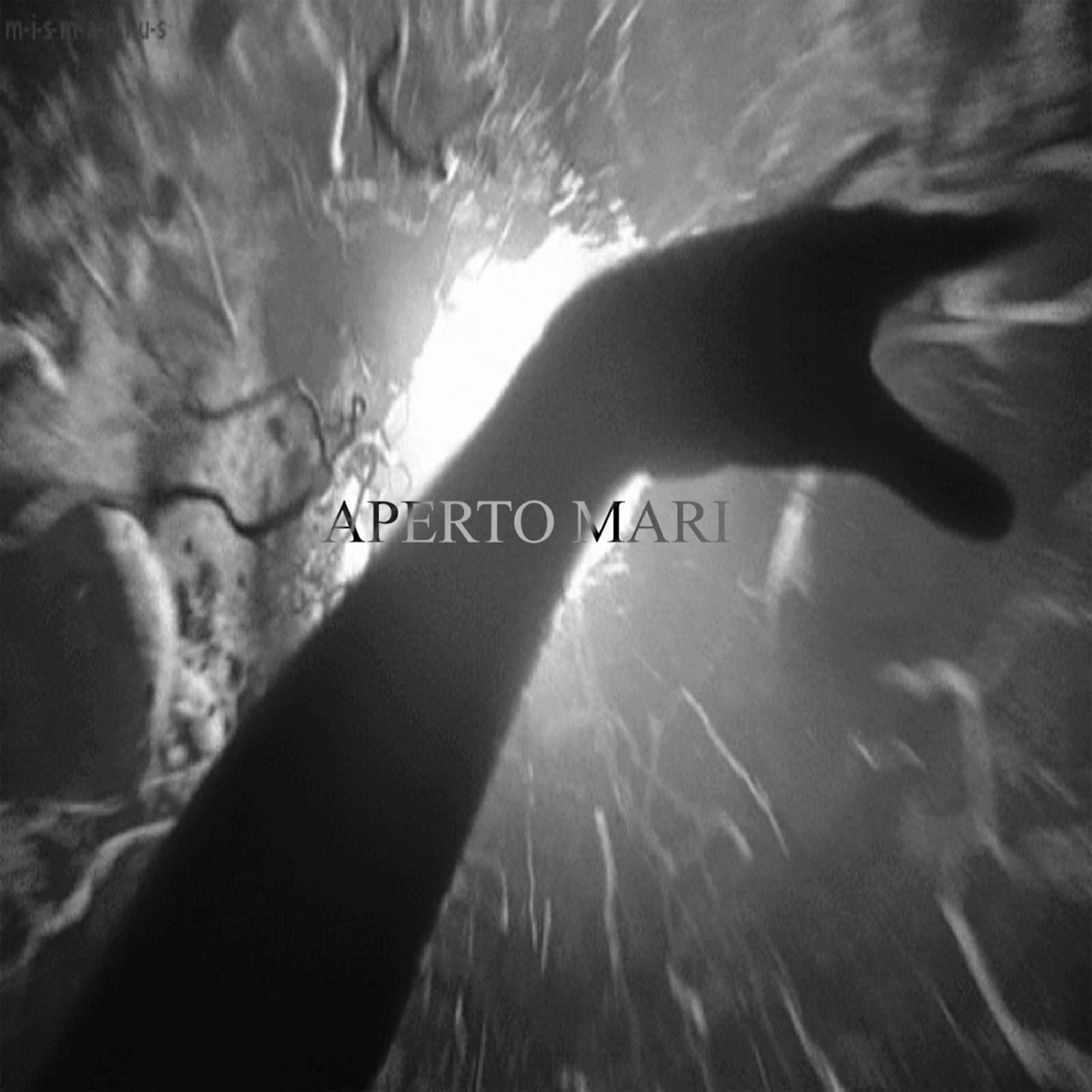Релиз Aperto mari