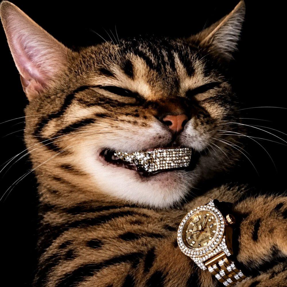 Релиз Gangsta