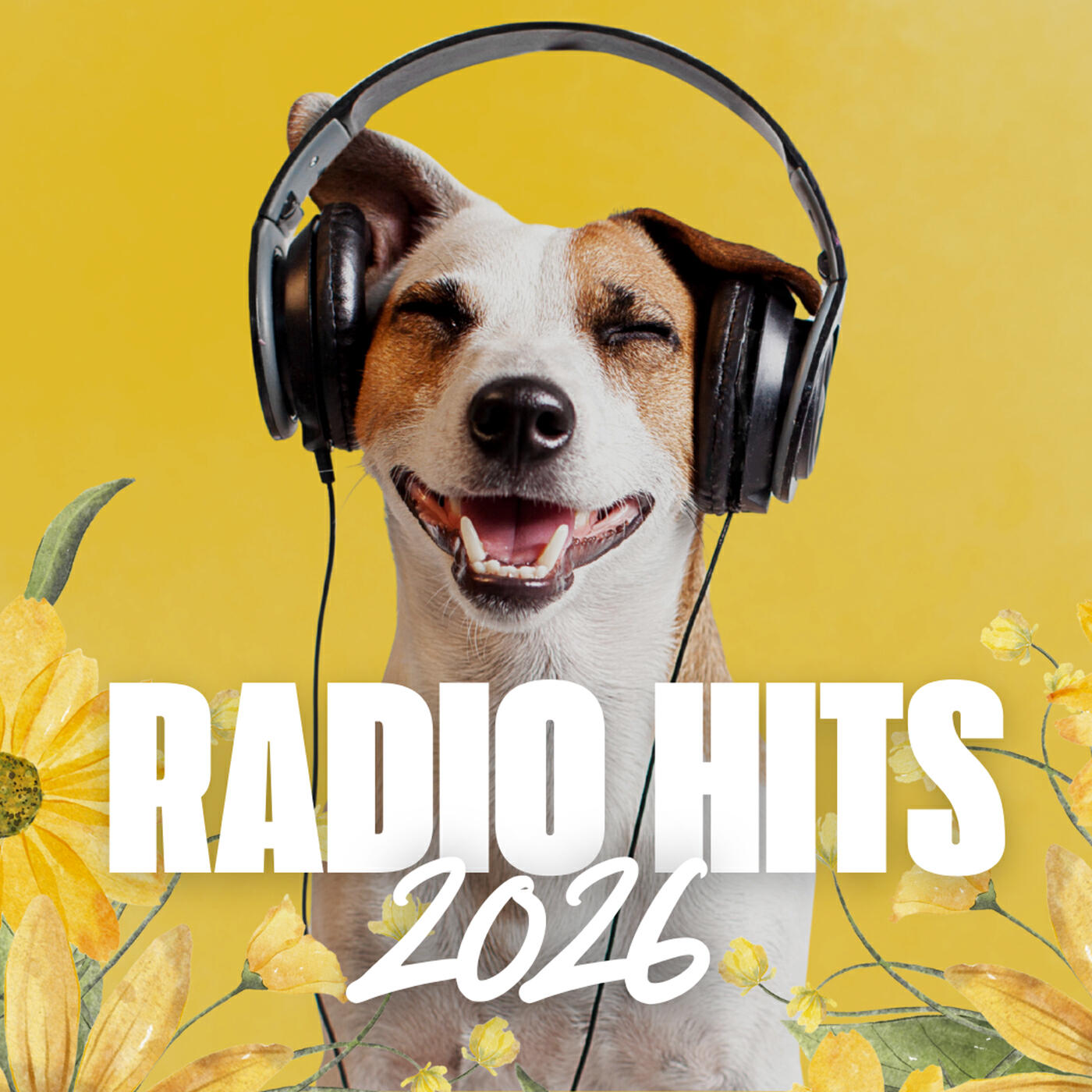 Релиз Radio Hits 2026