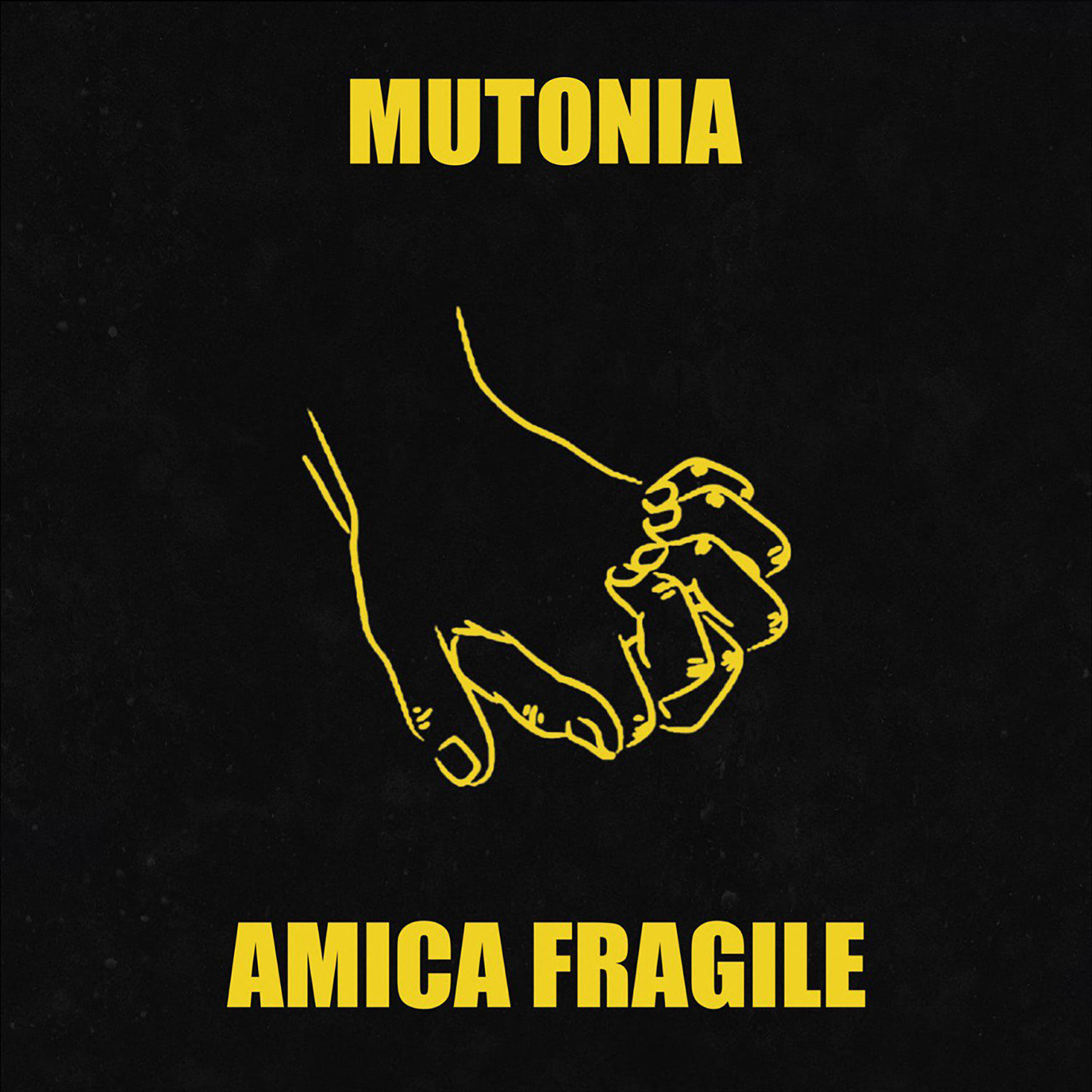 Релиз AMICA FRAGILE