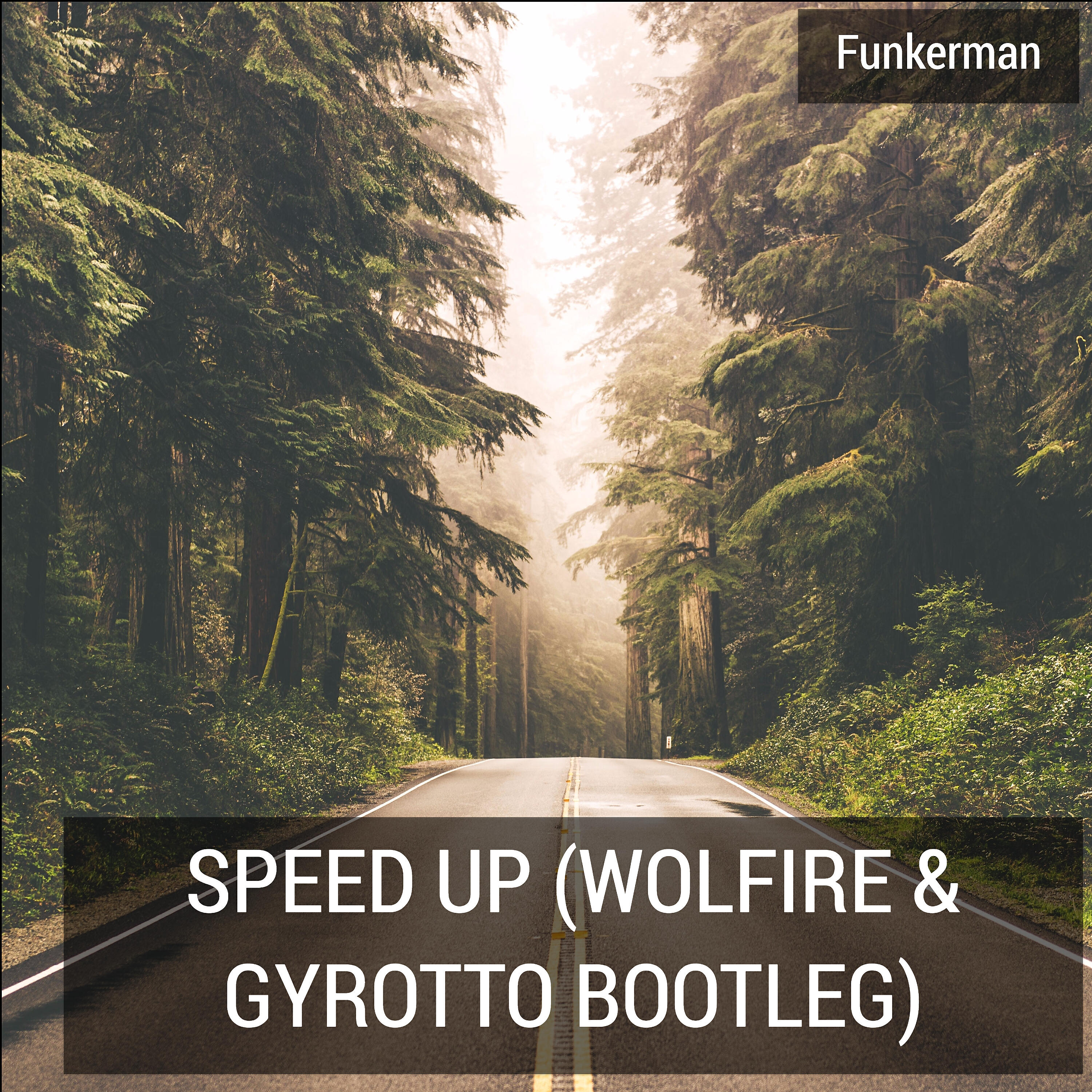 Постер альбома Speed Up (Wolfire and Gyrotto Bootleg)