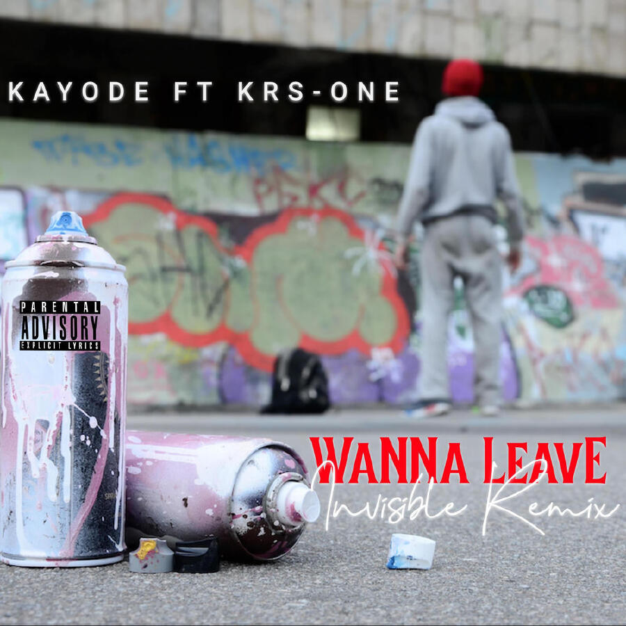 Релиз Wanna Leave (Invisible Remix)