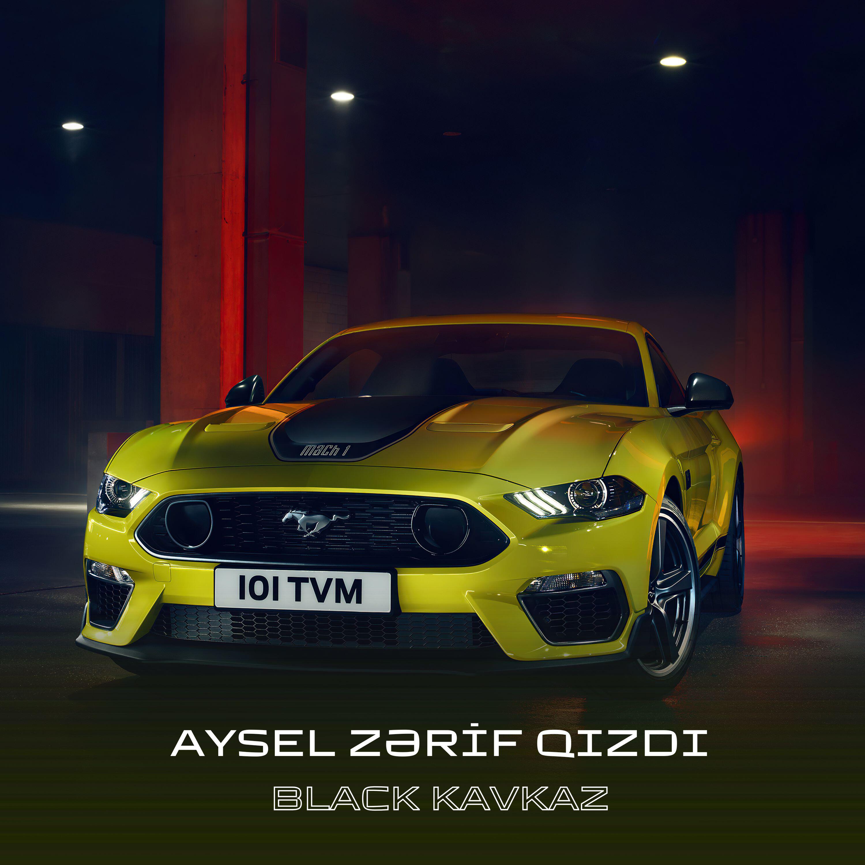 Релиз Aysel Zərif Qızdı