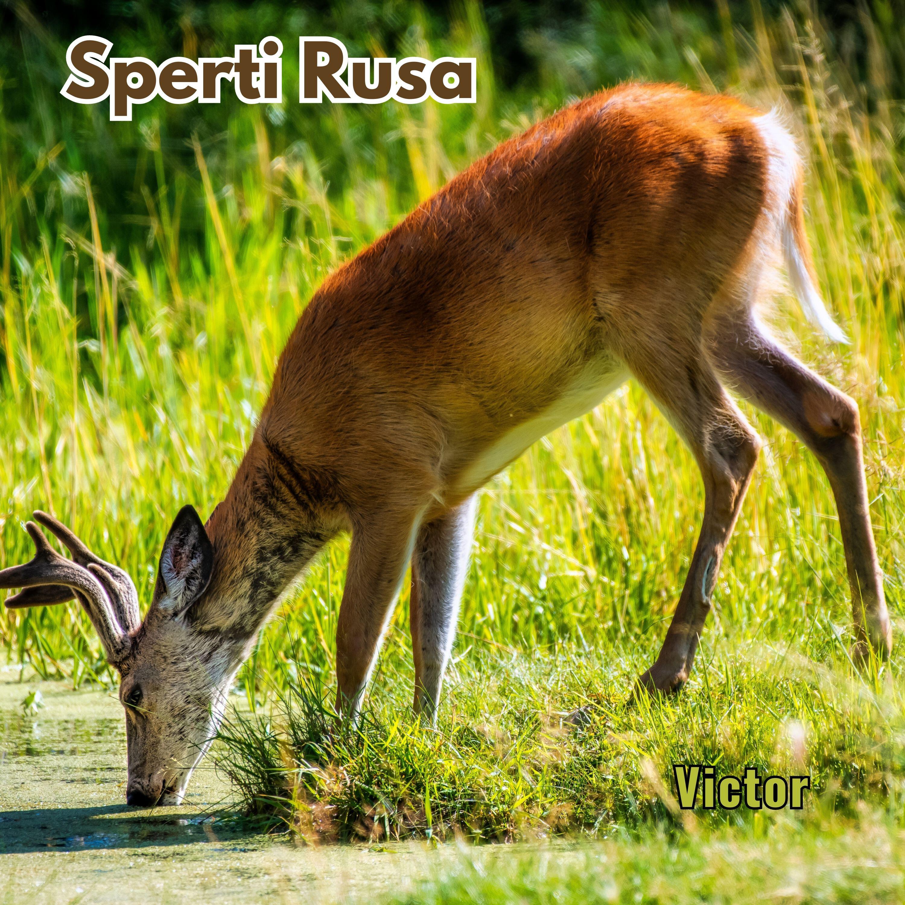 Скачать песню Victor - Sperti Rusa бесплатно в MP3 для Android и iOS