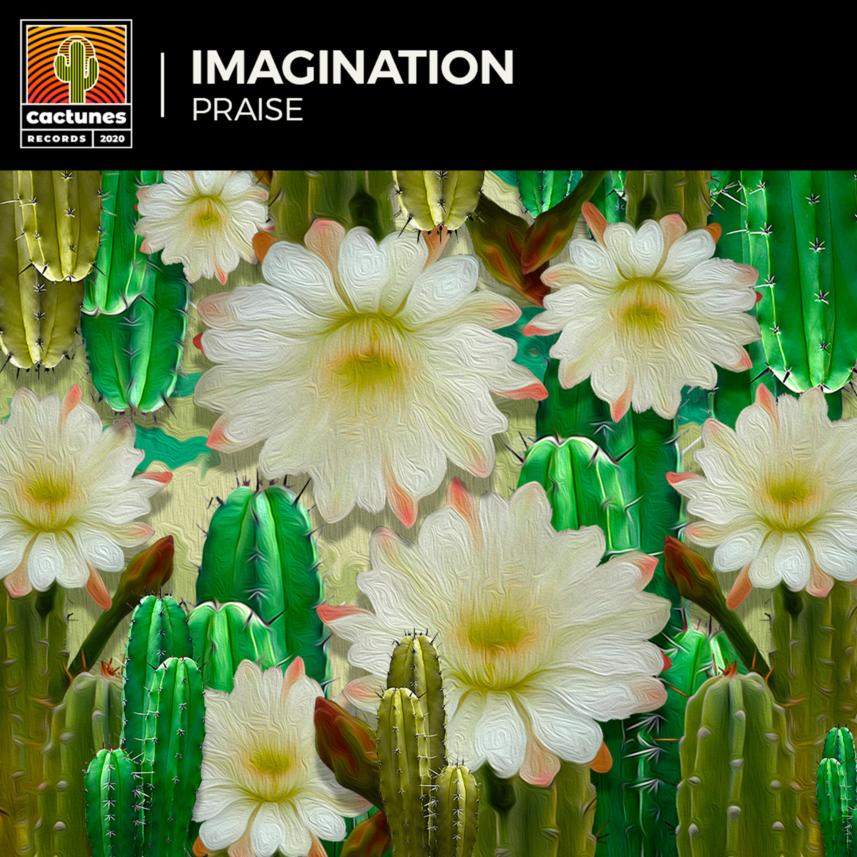 Релиз Imagination