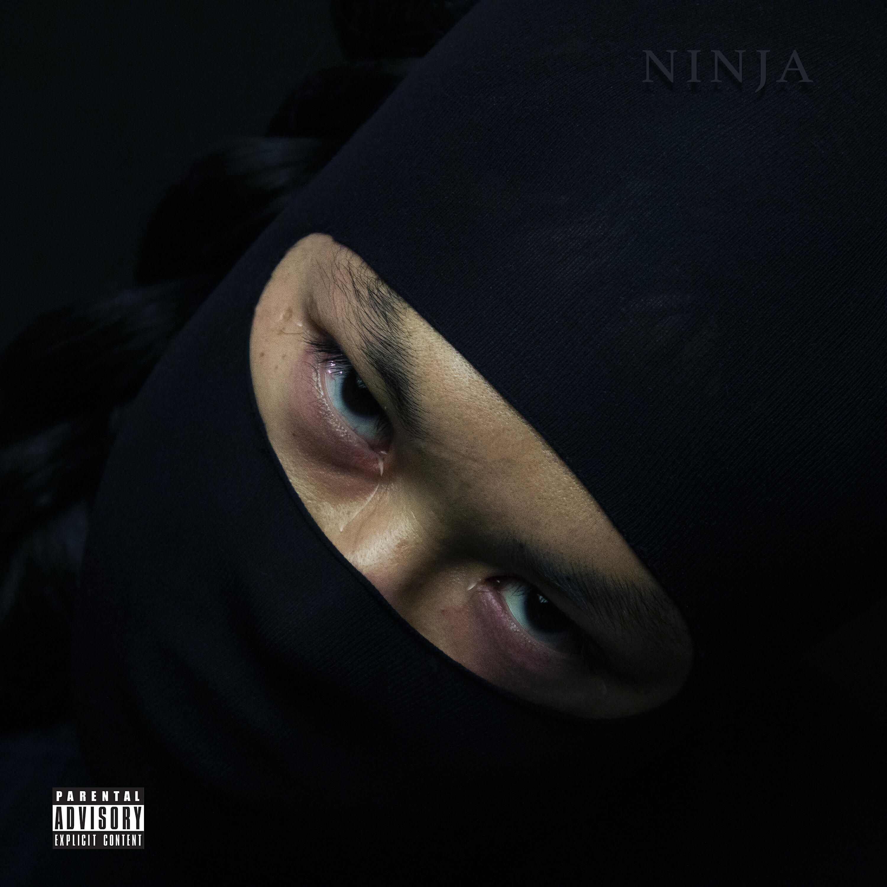 Релиз Ninja