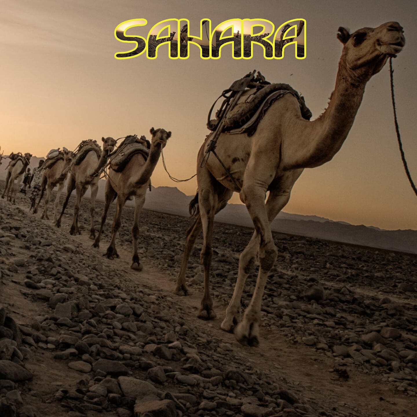 Релиз Sahara