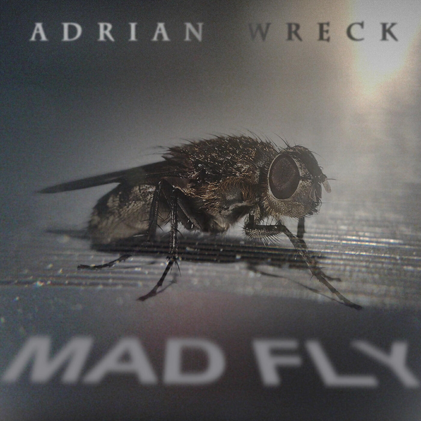 Релиз Madfly