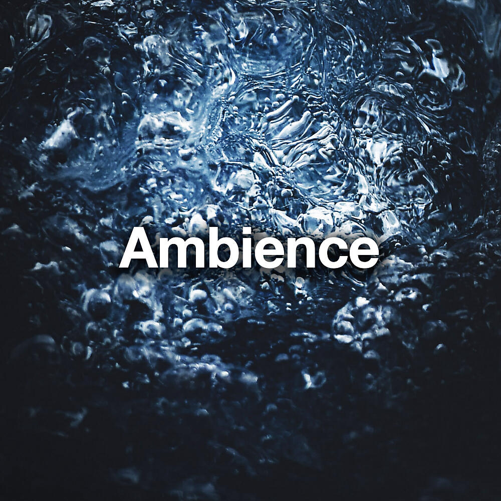 Постер альбома Ambience