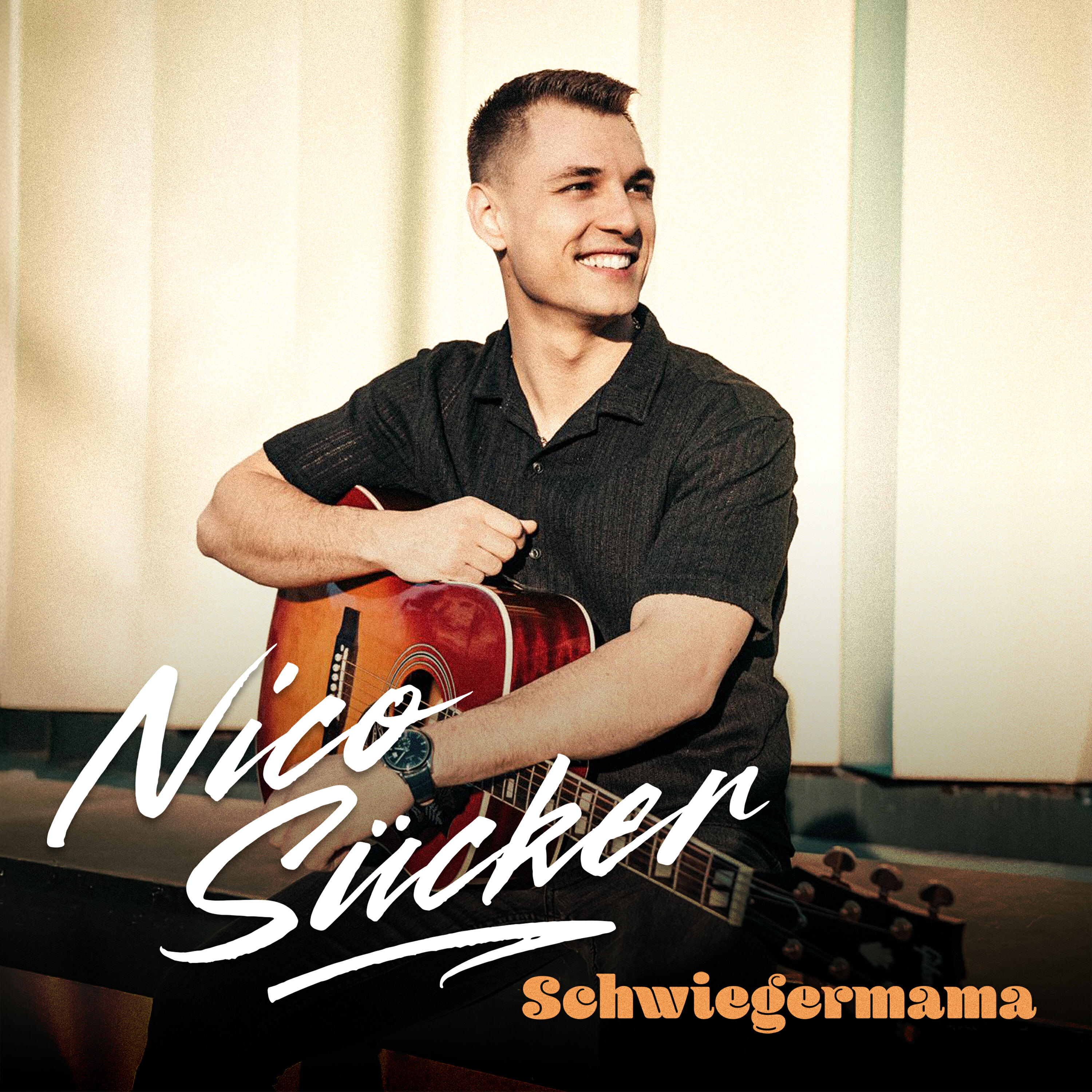 Релиз Schwiegermama