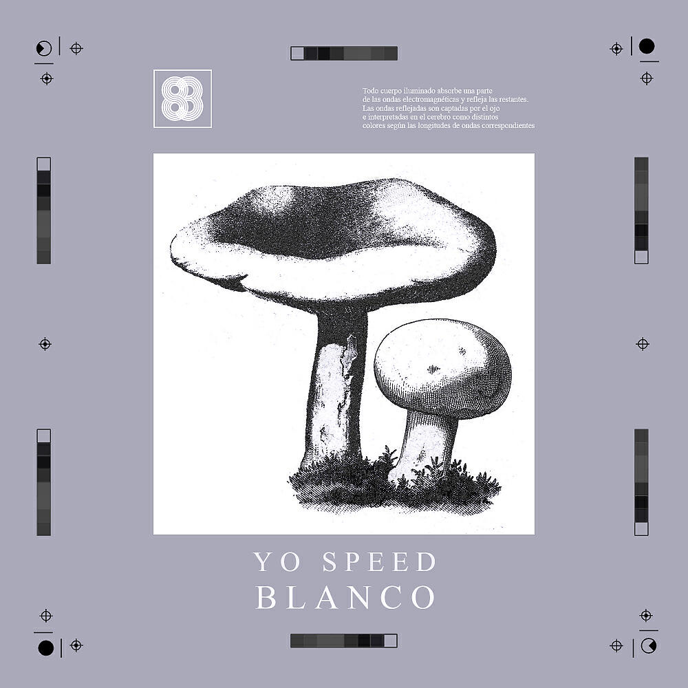 Релиз Blanco