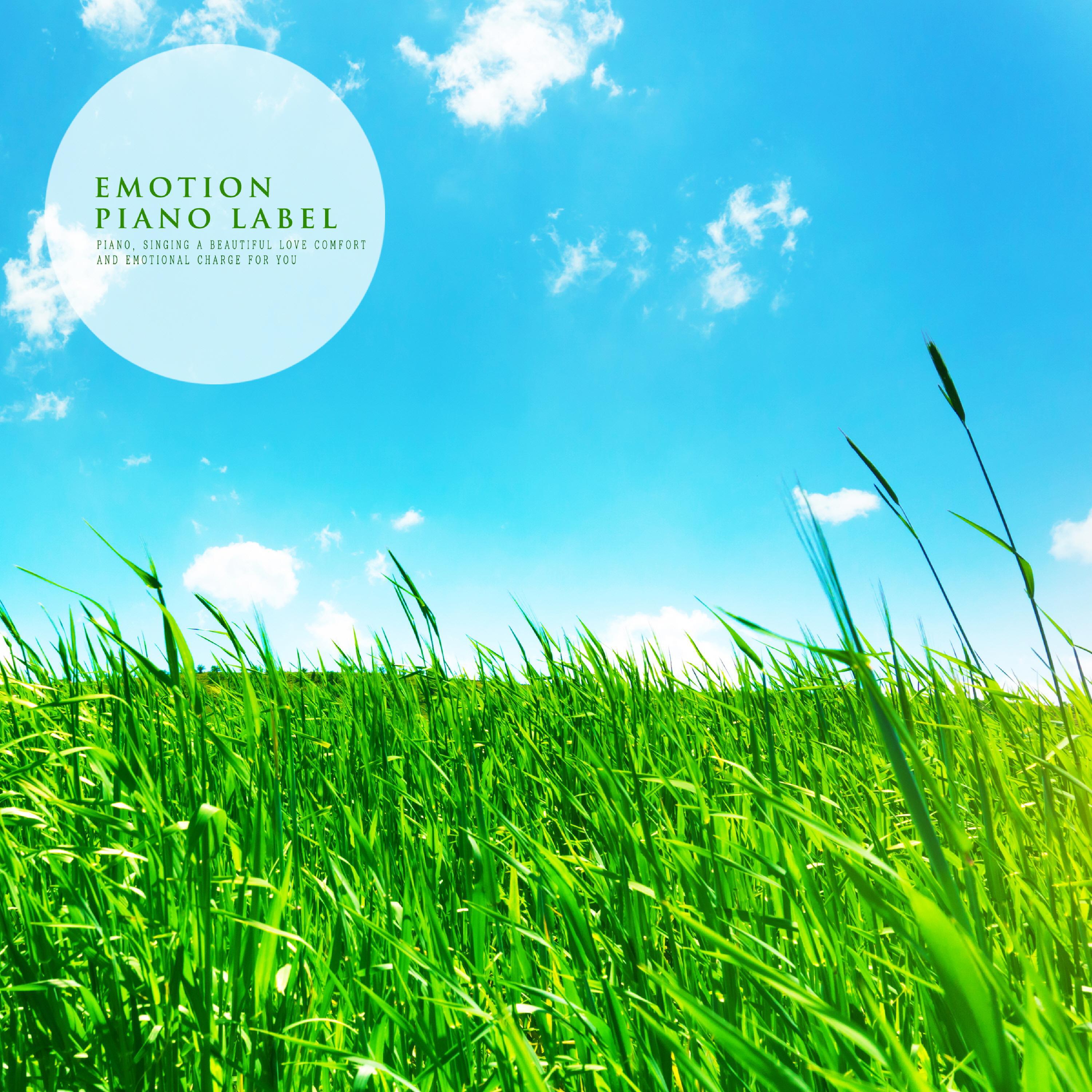 Релиз New Age Piano For Meditation Filled