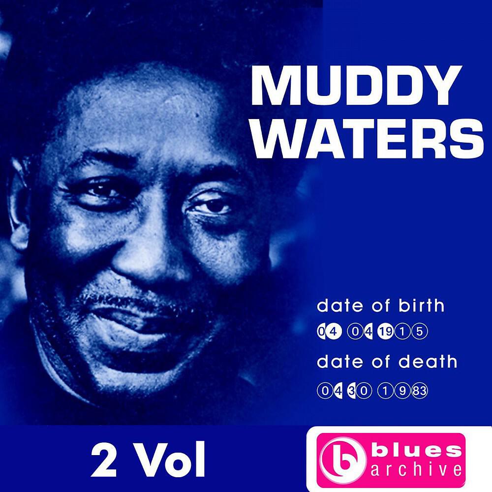 Релиз Muddy Waters
