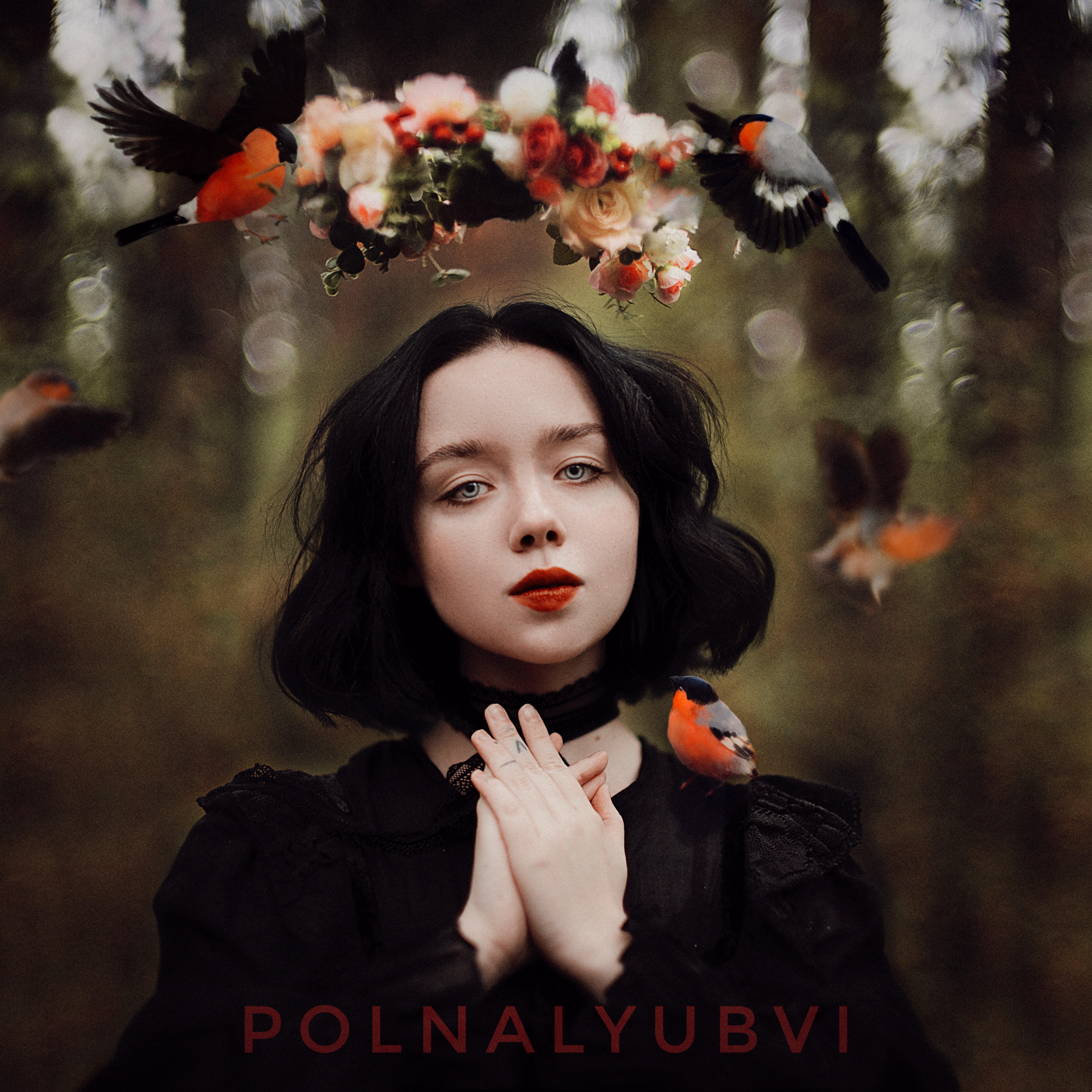 Релиз Элегия