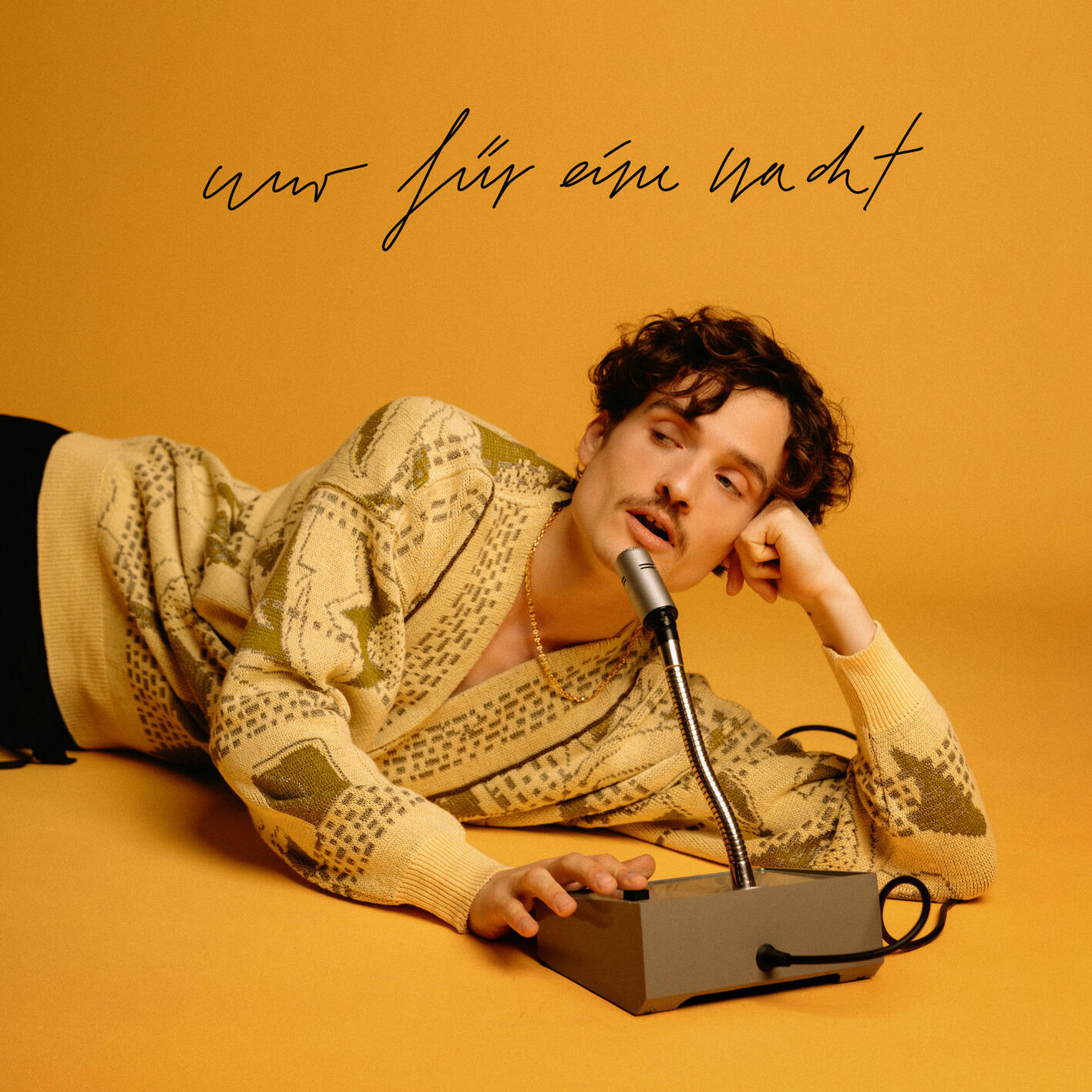 Релиз Nur für eine Nacht