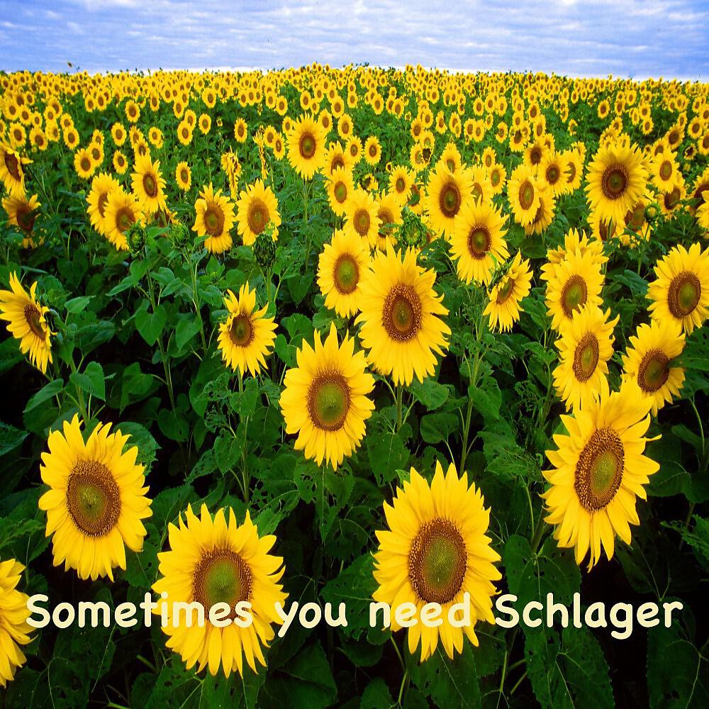 Релиз Sometimes You Need Schlager