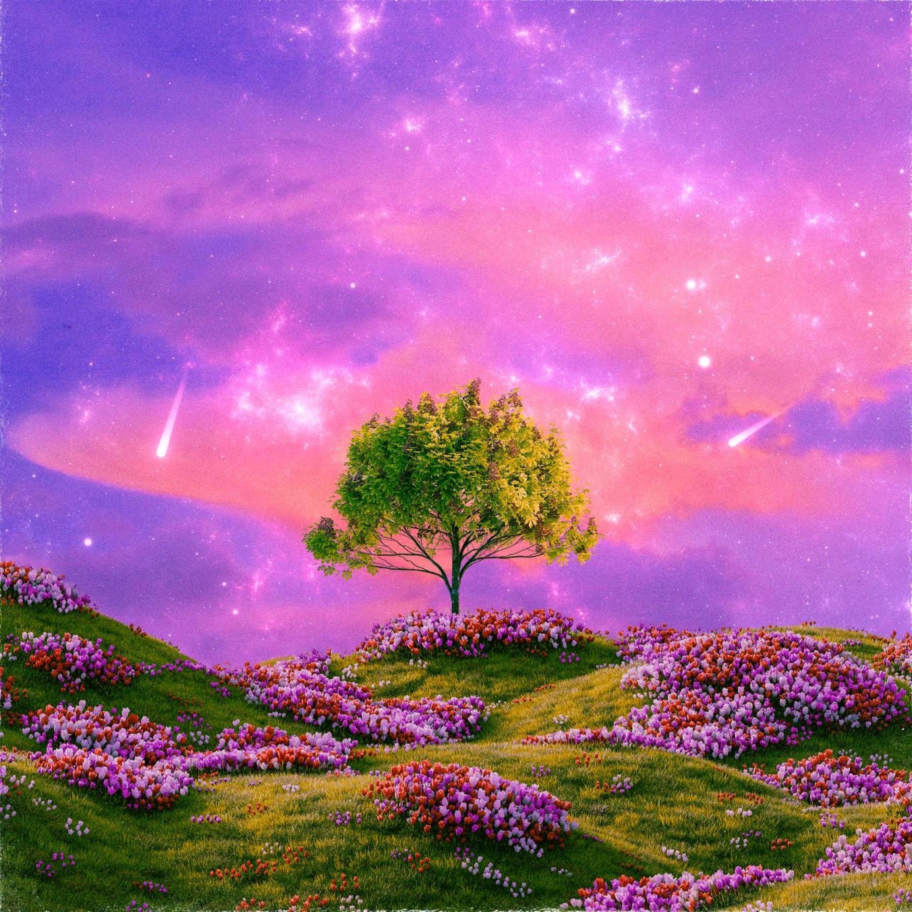 Релиз New Growth