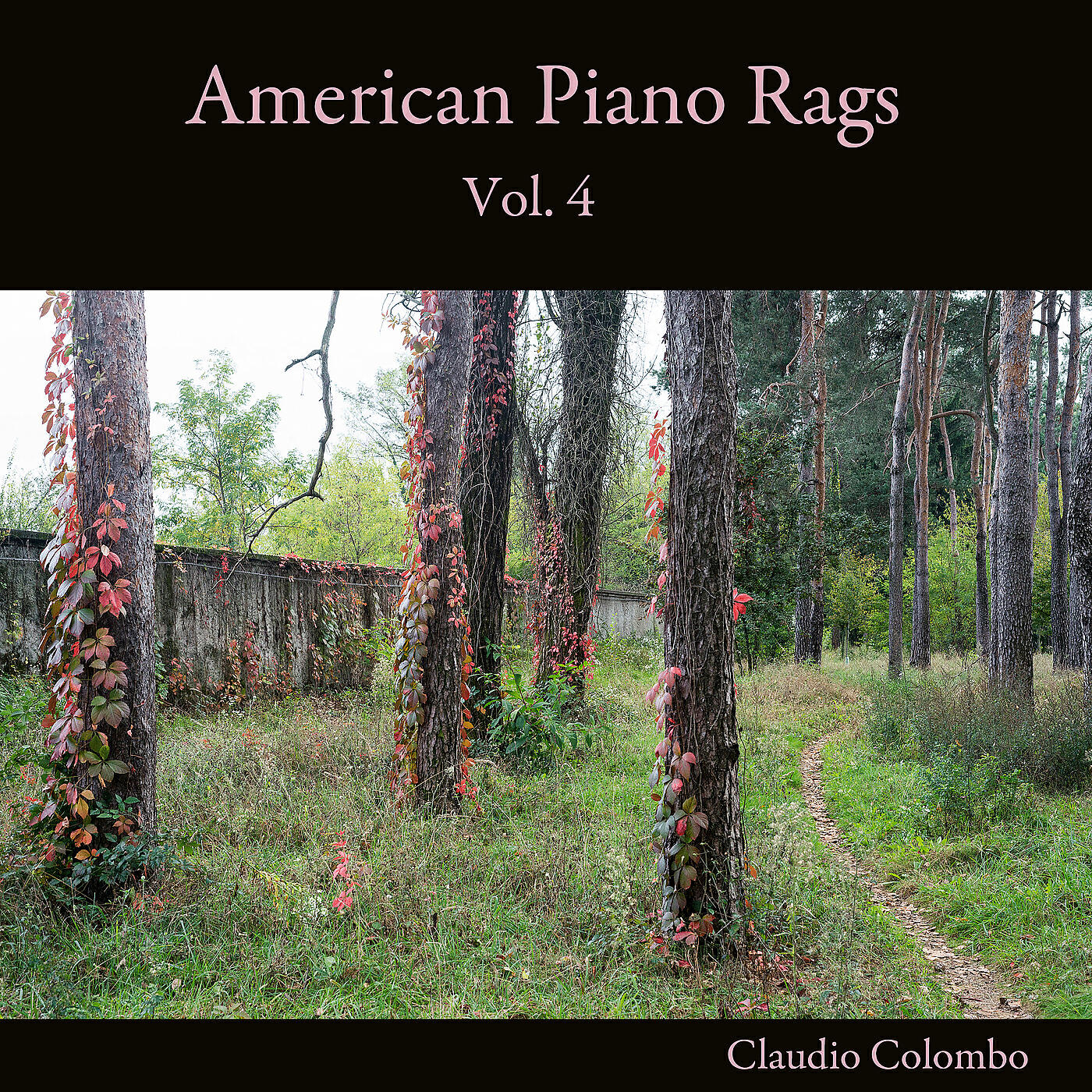 Релиз American Piano Rags, Vol. 4