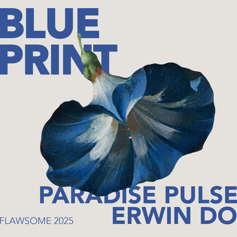 Релиз Blue Print