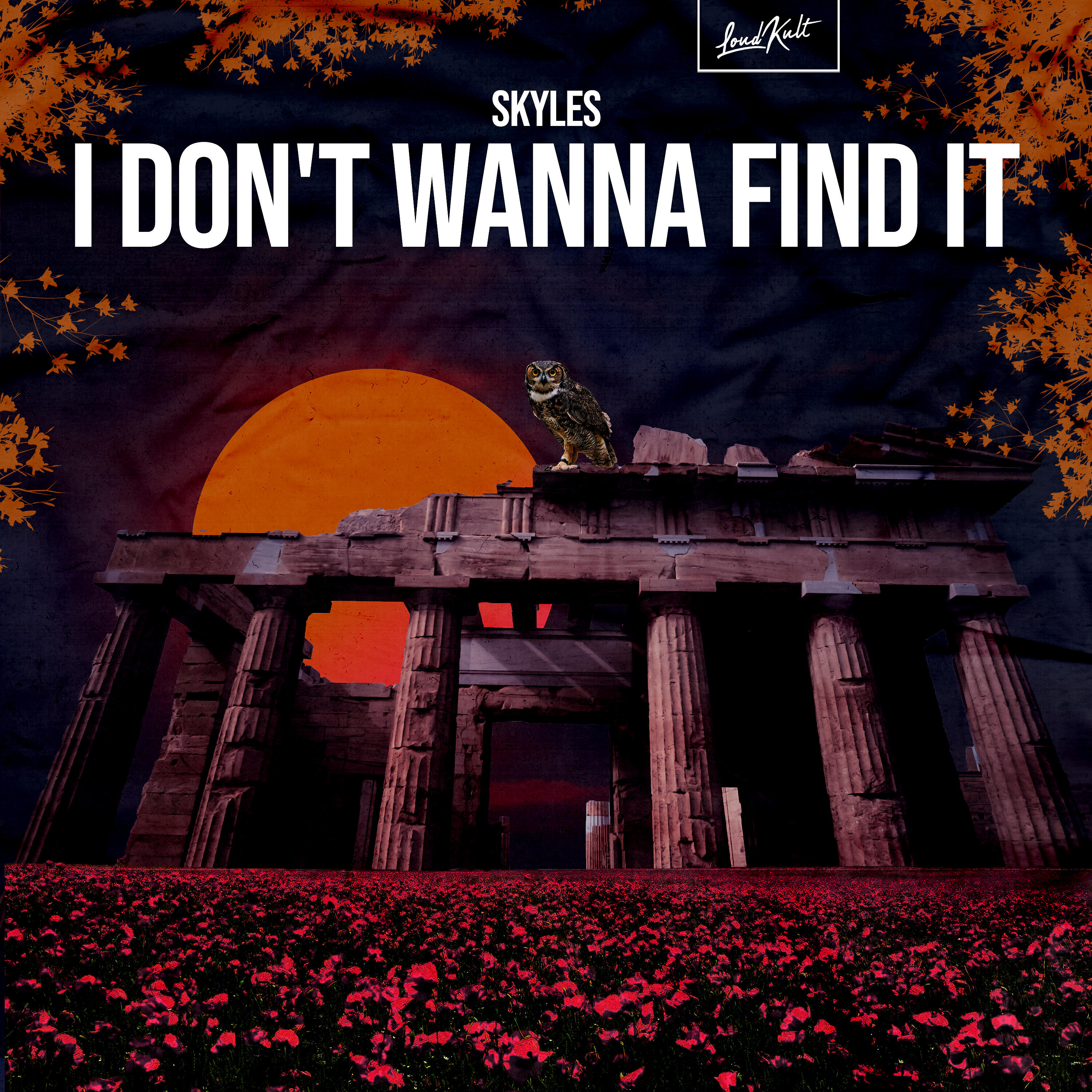 Релиз I Don't Wanna Find It