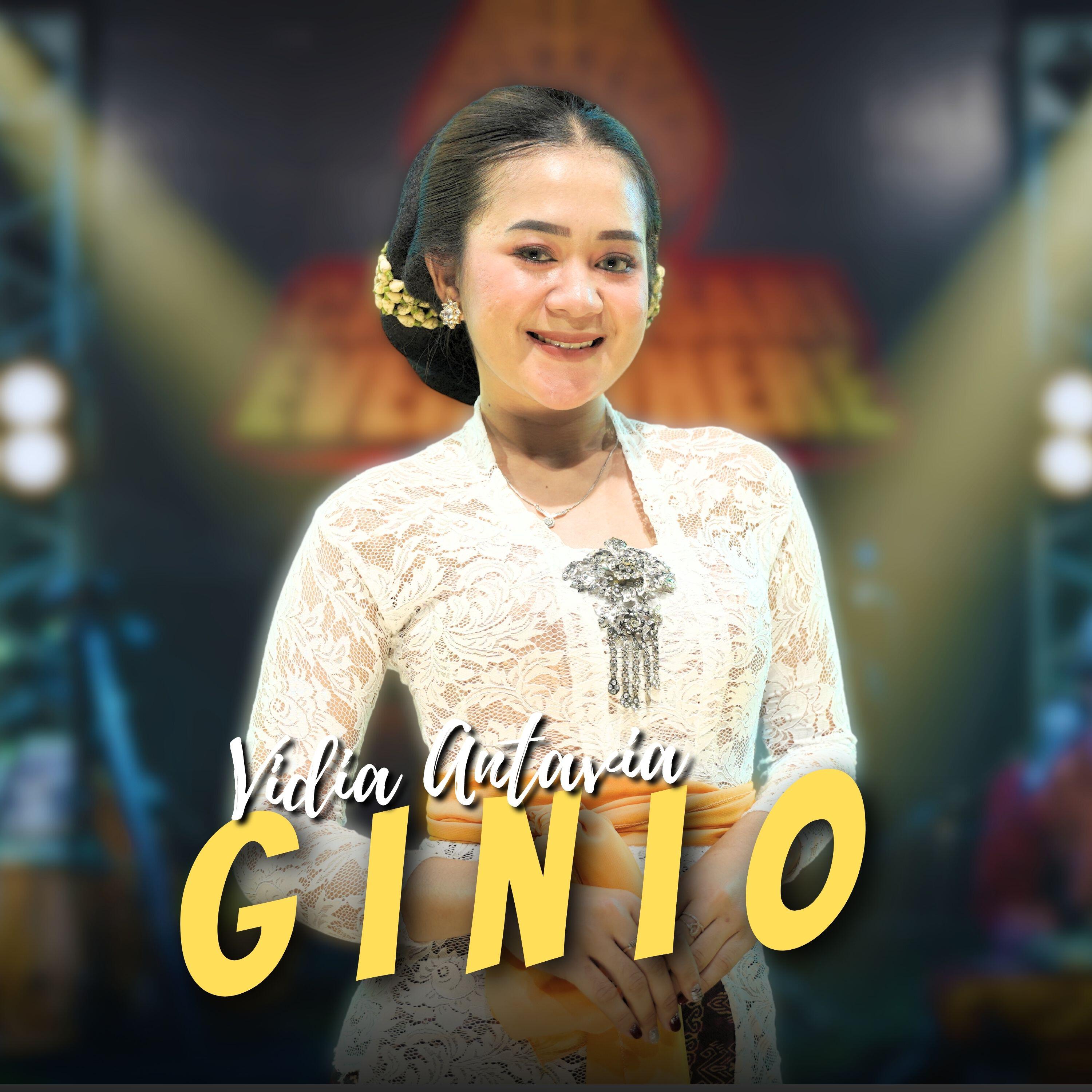 Релиз GINIO