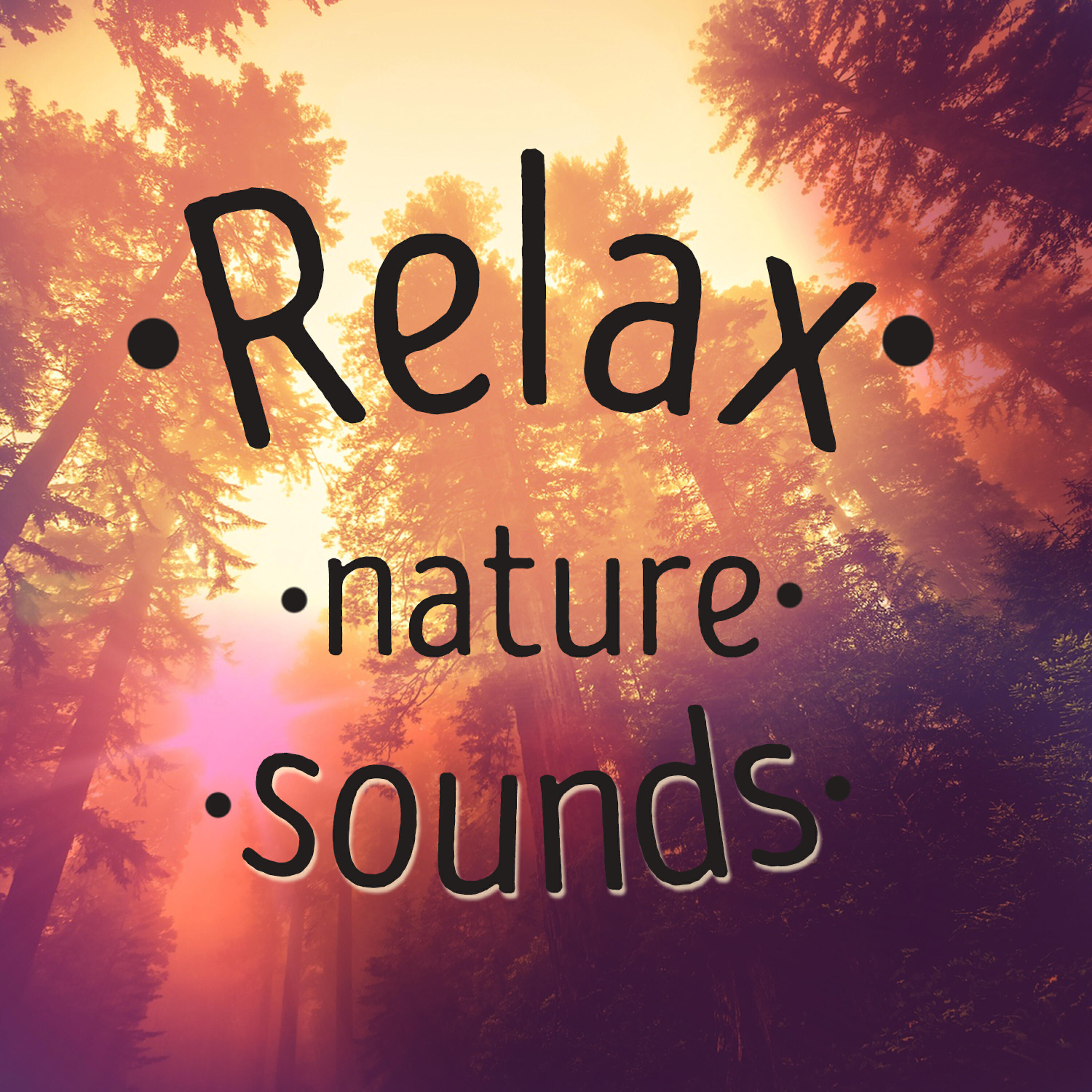 Релиз Relax: Nature Sounds