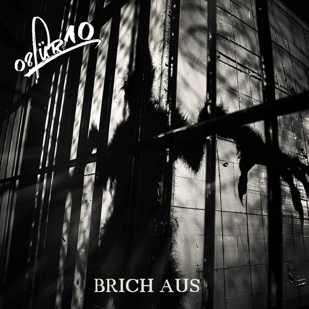 Релиз Brich AUS