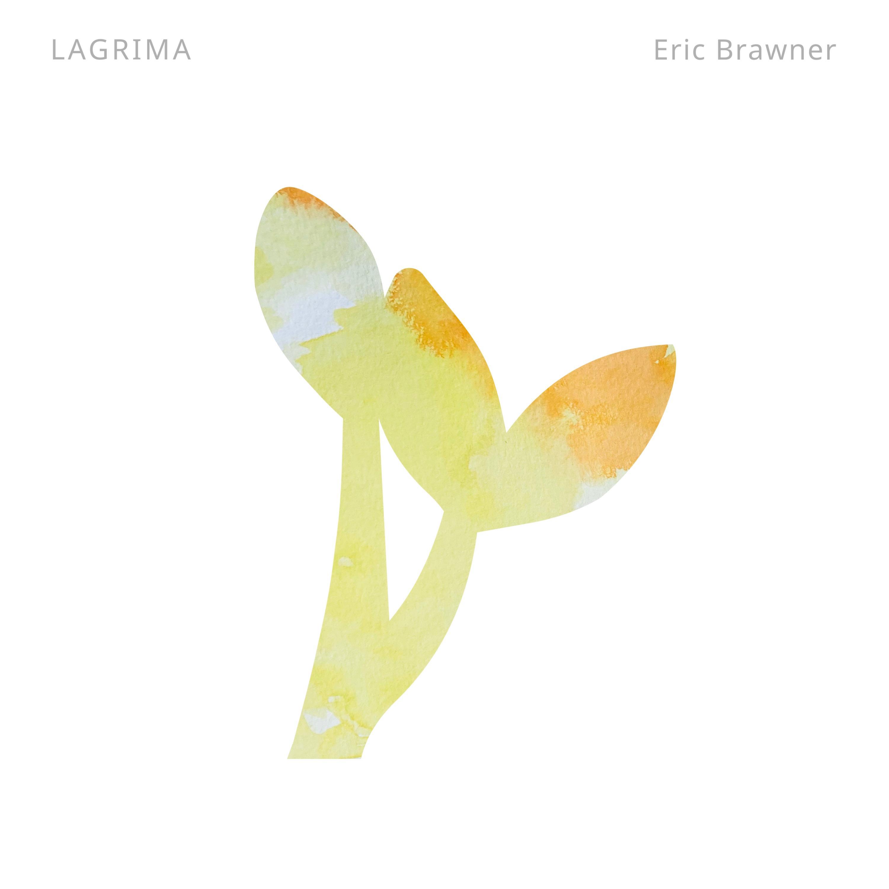 Релиз Lagrima