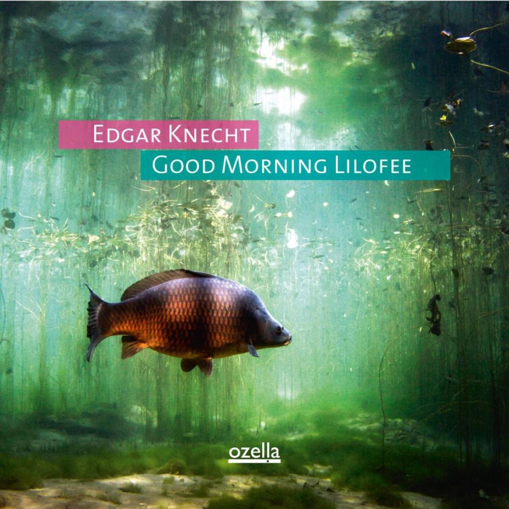 Релиз Good Morning Lilofee