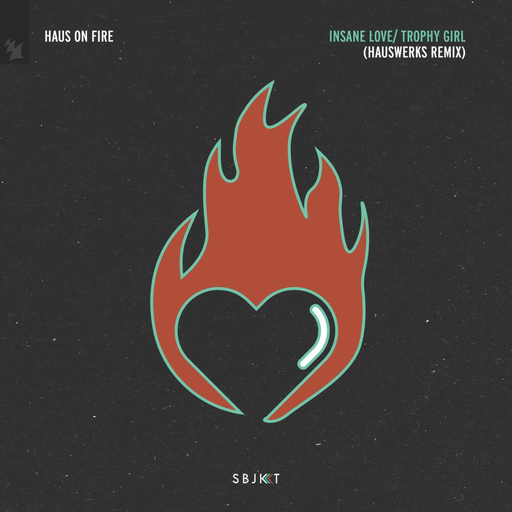 Релиз Insane Love (Hauswerks Remix)