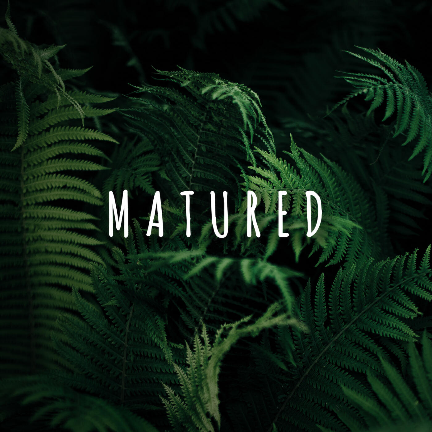Релиз Matured