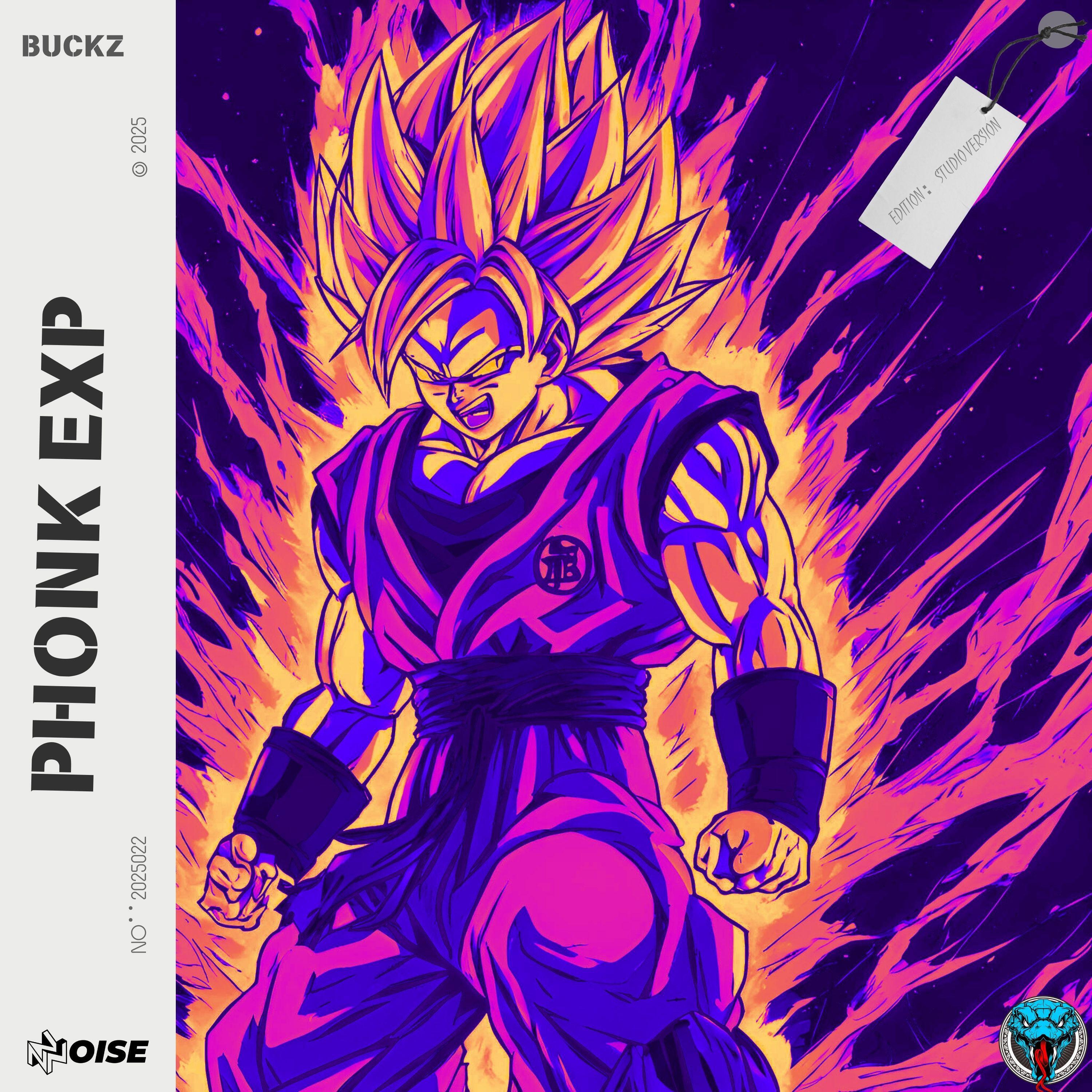 Релиз PHONK EXP