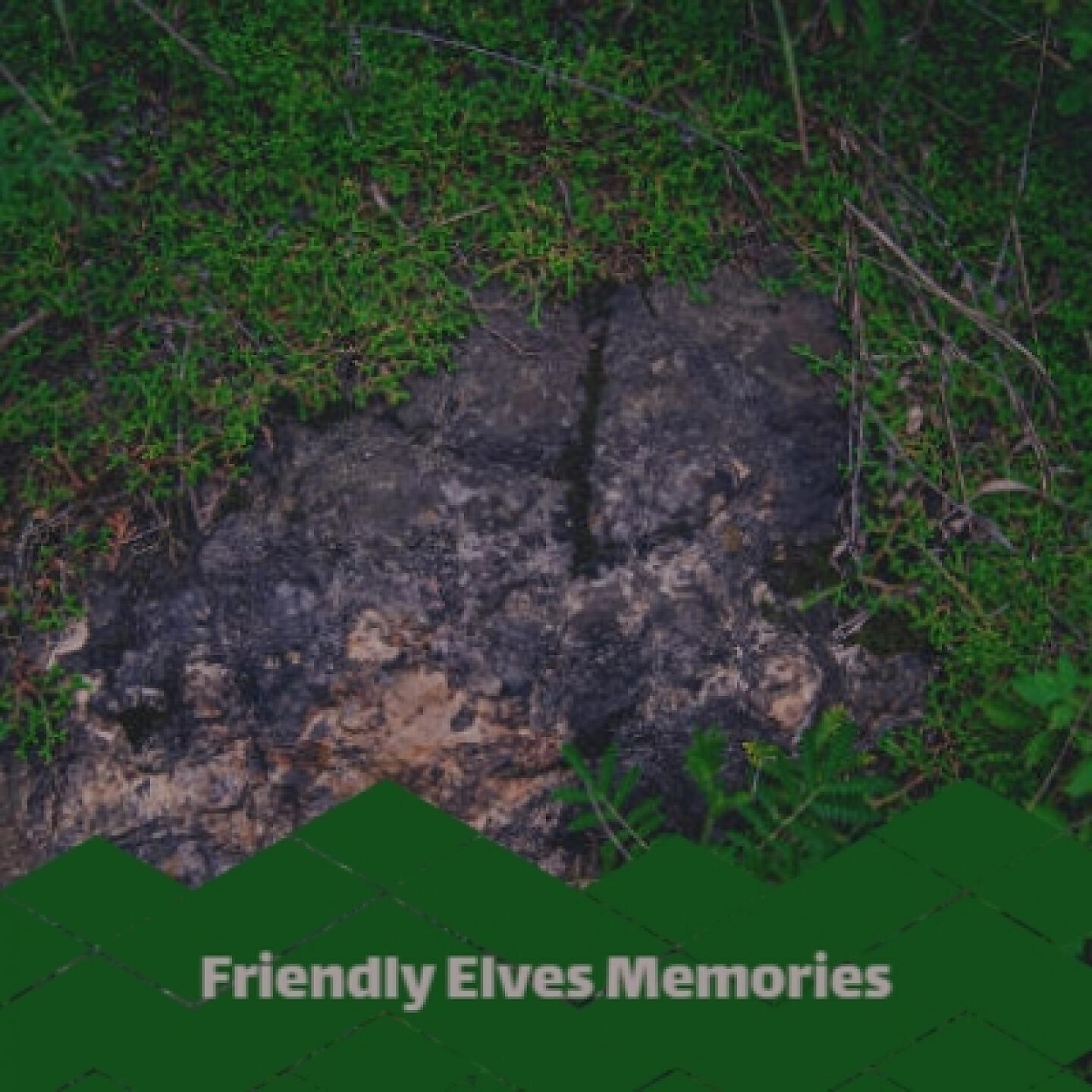 Релиз Friendly Elves Memories