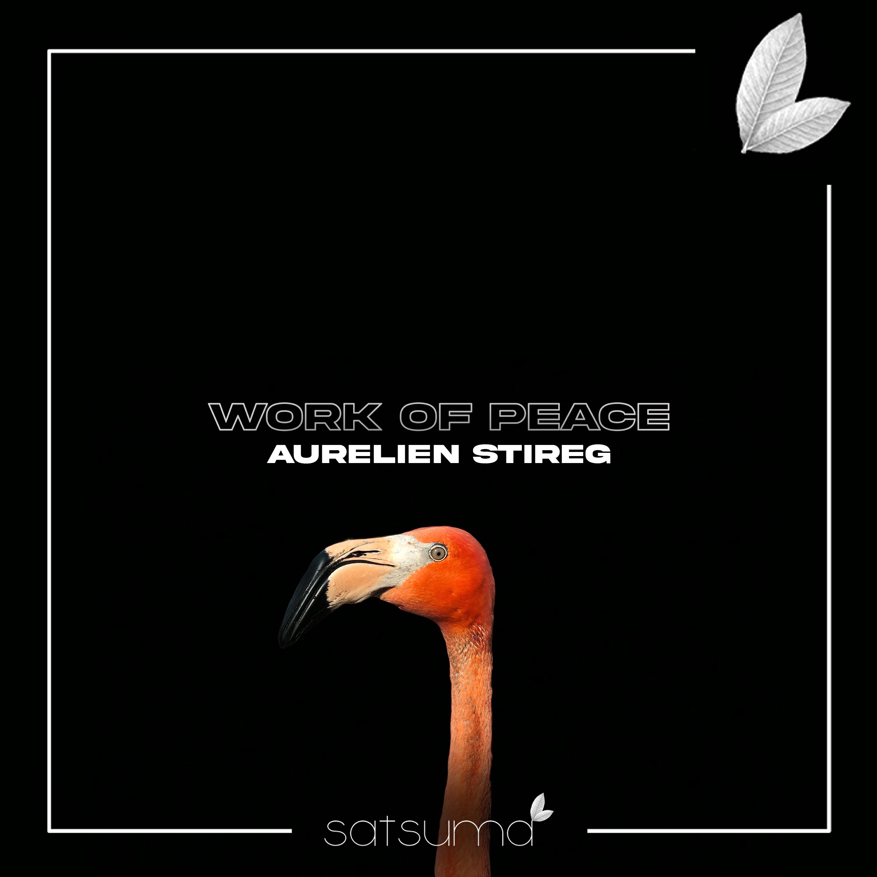 Релиз Work of Peace