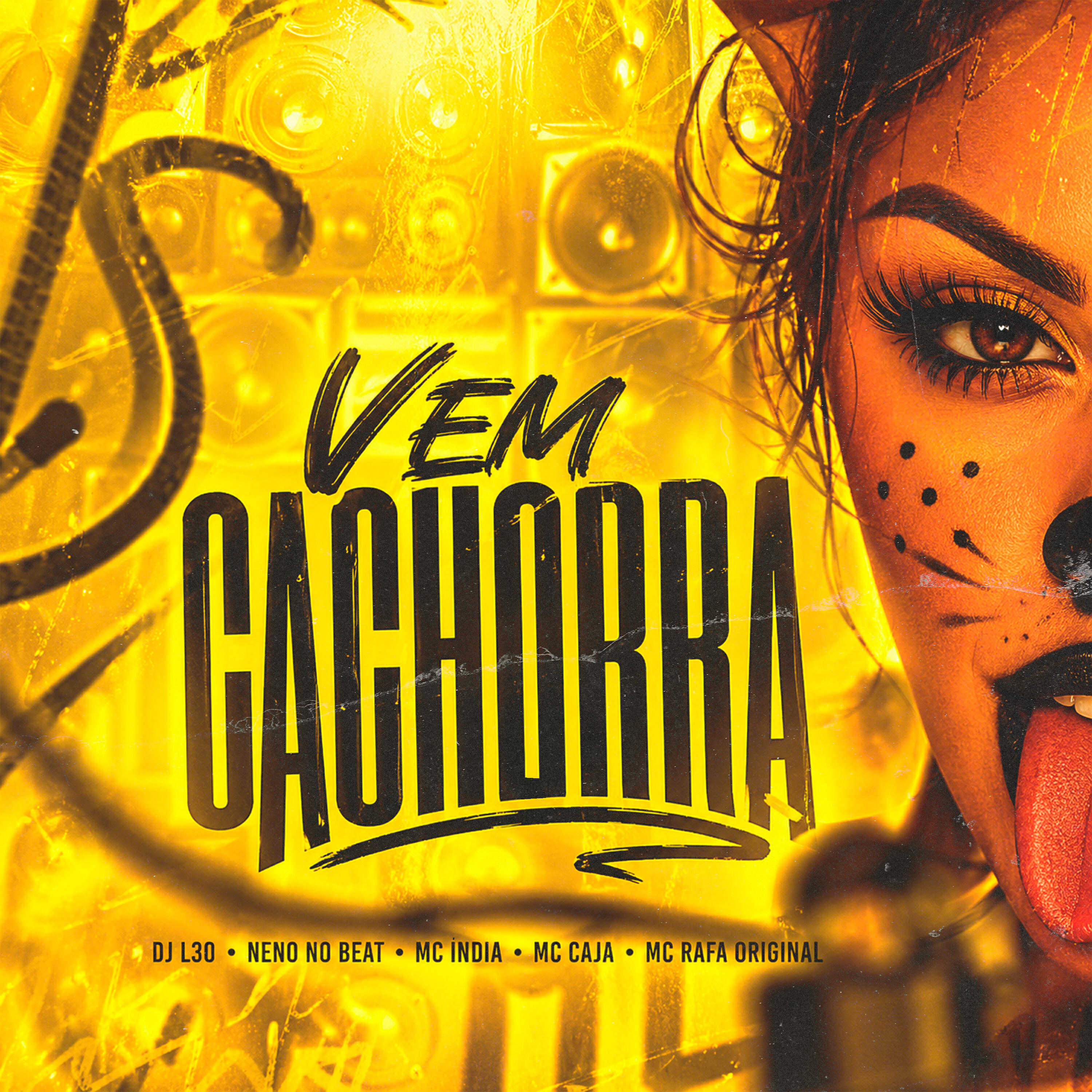 Релиз Vem Cachorra