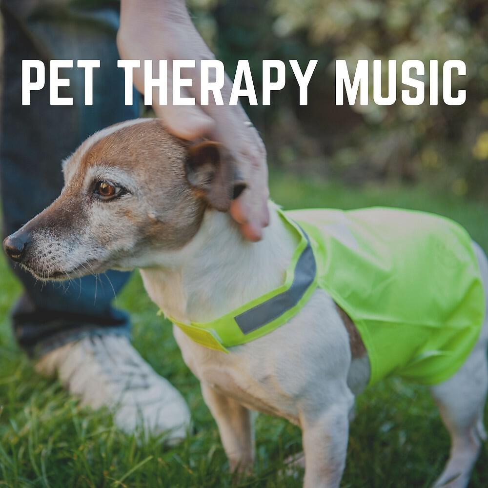 Релиз Pet Therapy Music